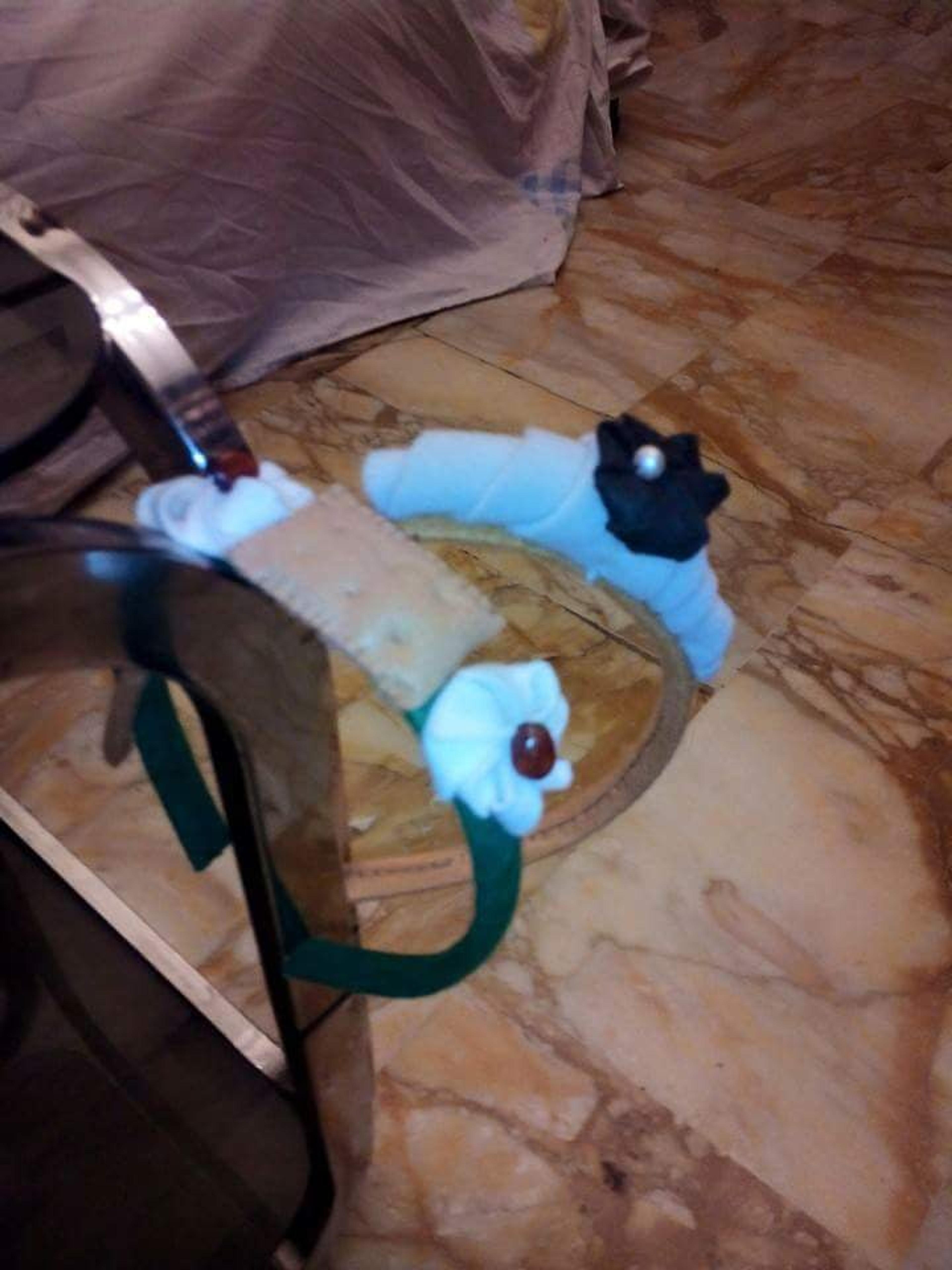 2049bdea-9f6b-4cfa-893e-de62983b1891.jpeg