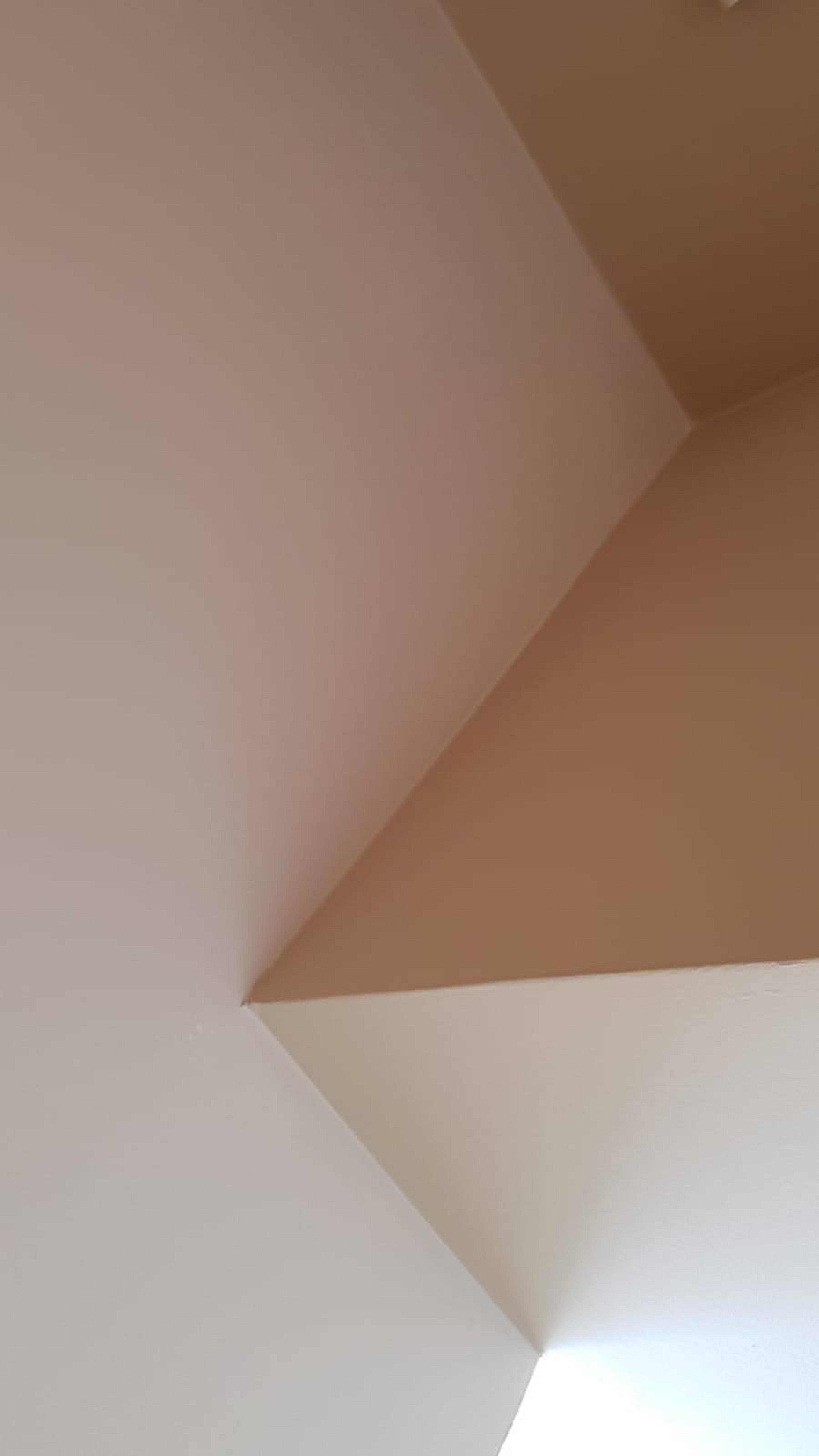 207b3380-2bd7-453f-a8e9-327ba3ba0b58.jpeg