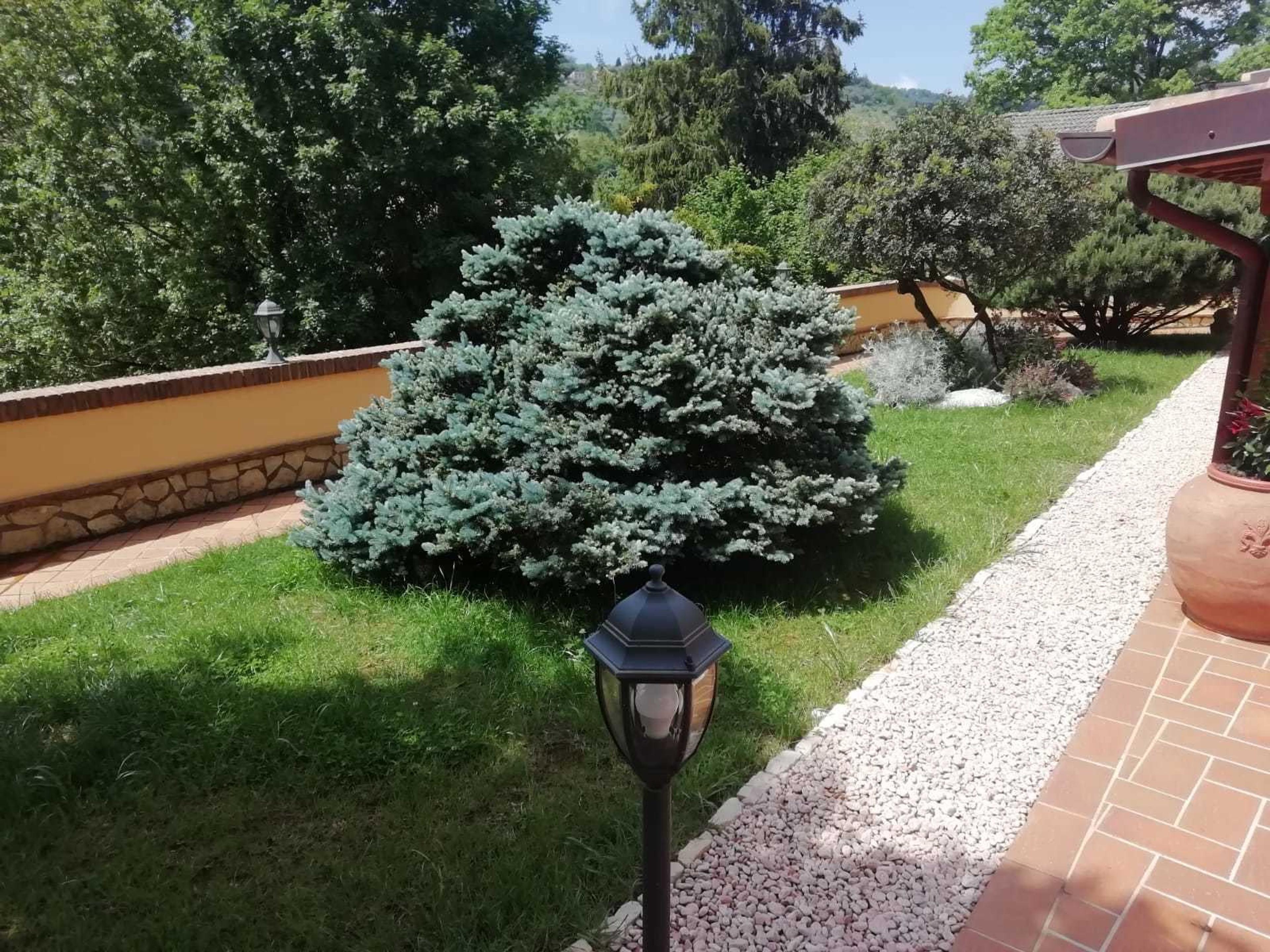 20924c88-e85c-4256-83d0-b5d11e5b7c6f.jpeg