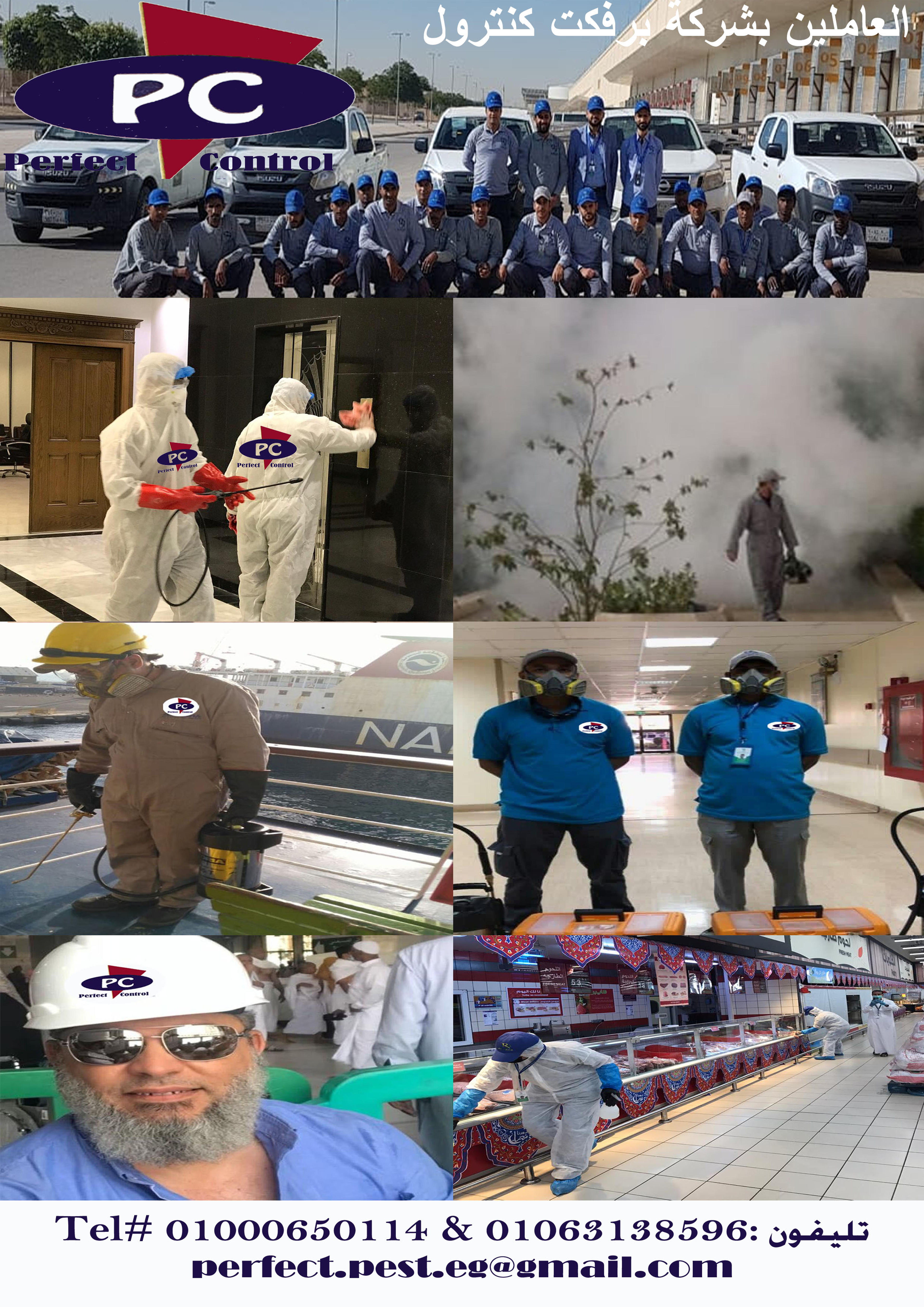 210d5c28-55a0-4558-a556-4ef60426053f.jpeg