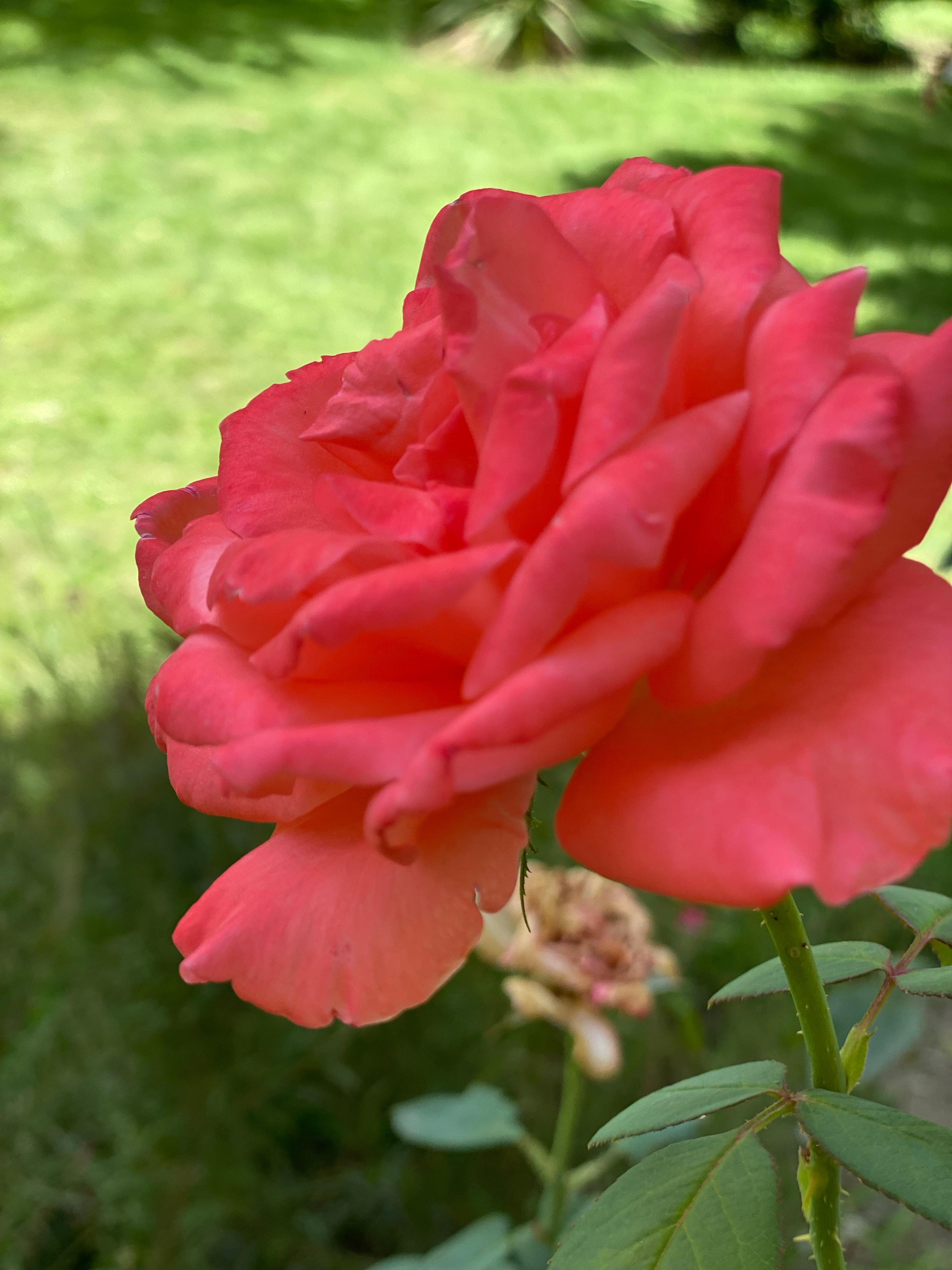 2159615f-5216-47f3-aa7c-5383cf69d9d2.jpeg