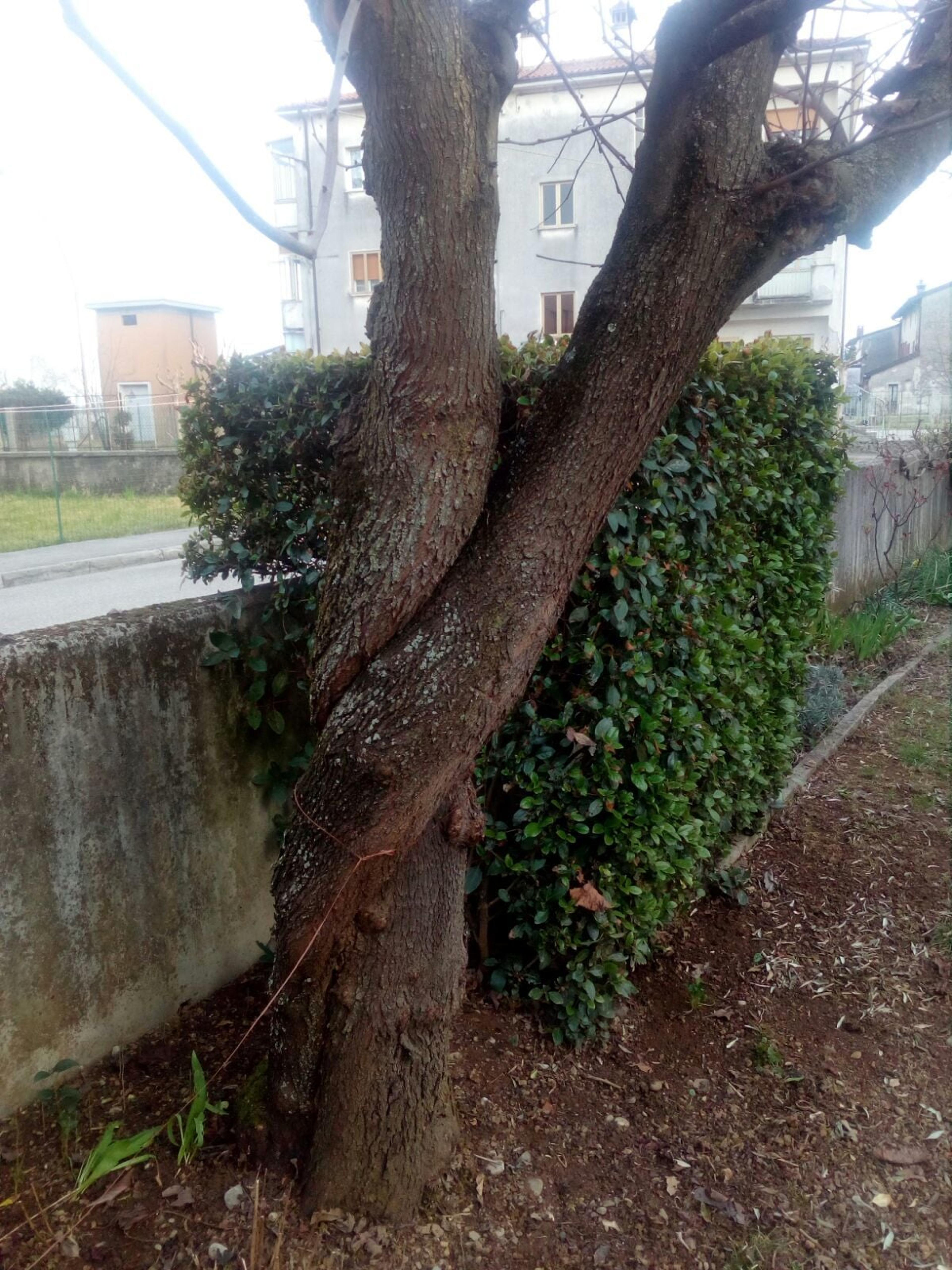 21ad2fad-c027-4eb2-9836-c18956f97b70.jpg