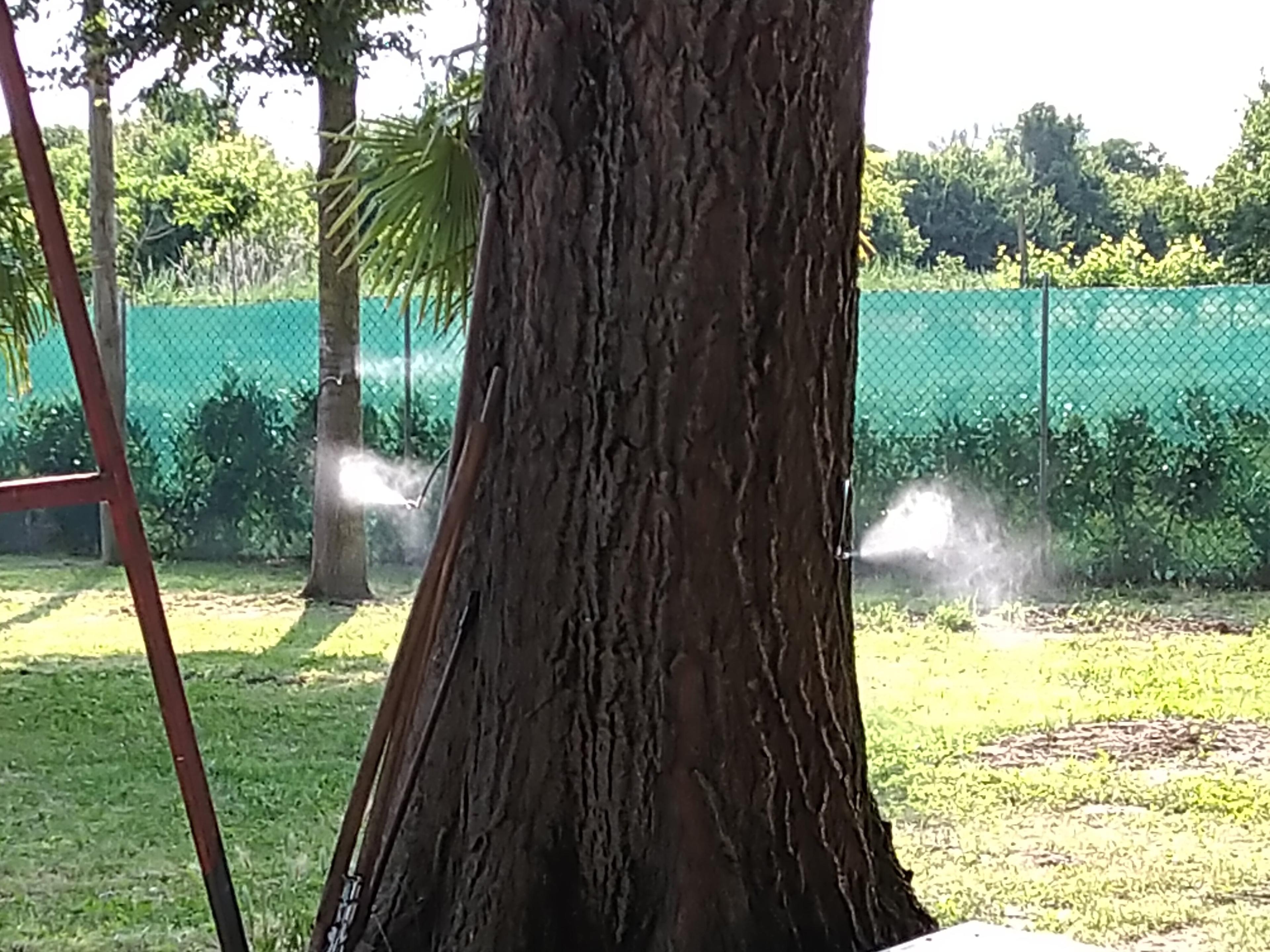 226effea-2ae6-419b-9022-341dcb622ef8.jpeg