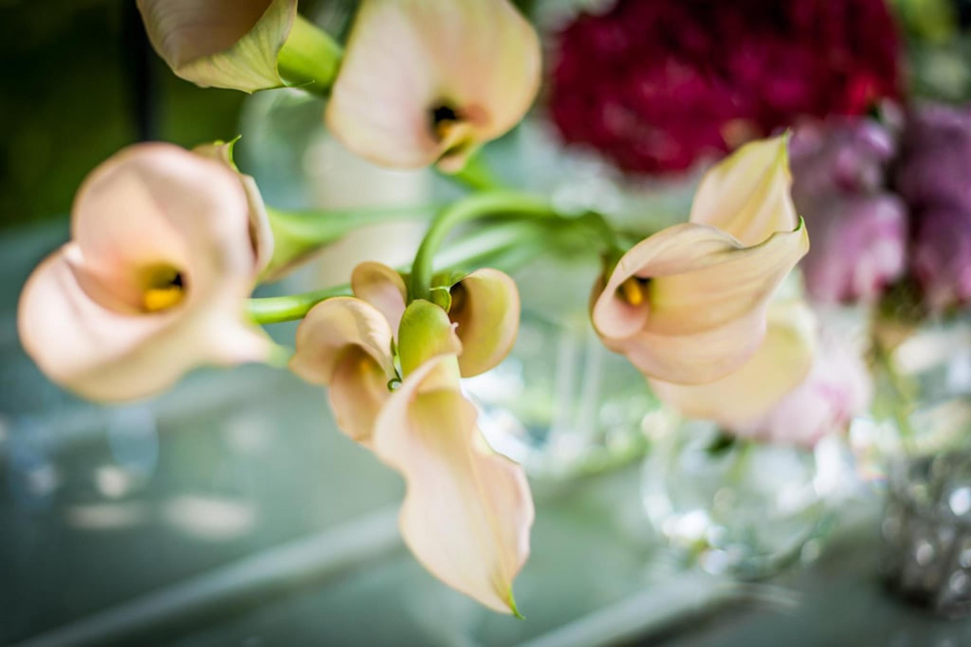 22b80125-f600-44b6-89af-f5d394b90bc4.jpg