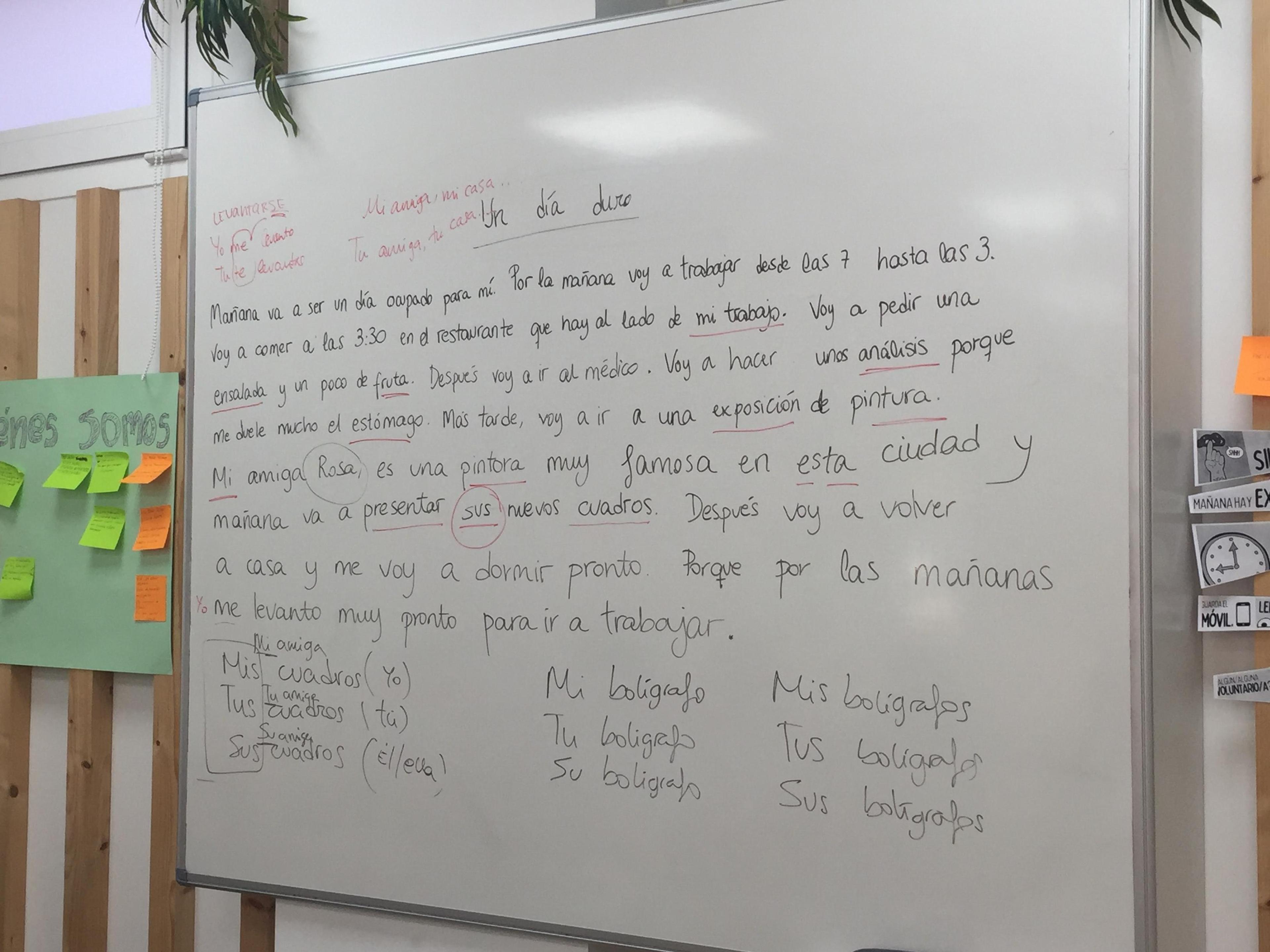238ab097-8730-4d4c-a7e8-449077c84a5c.jpeg