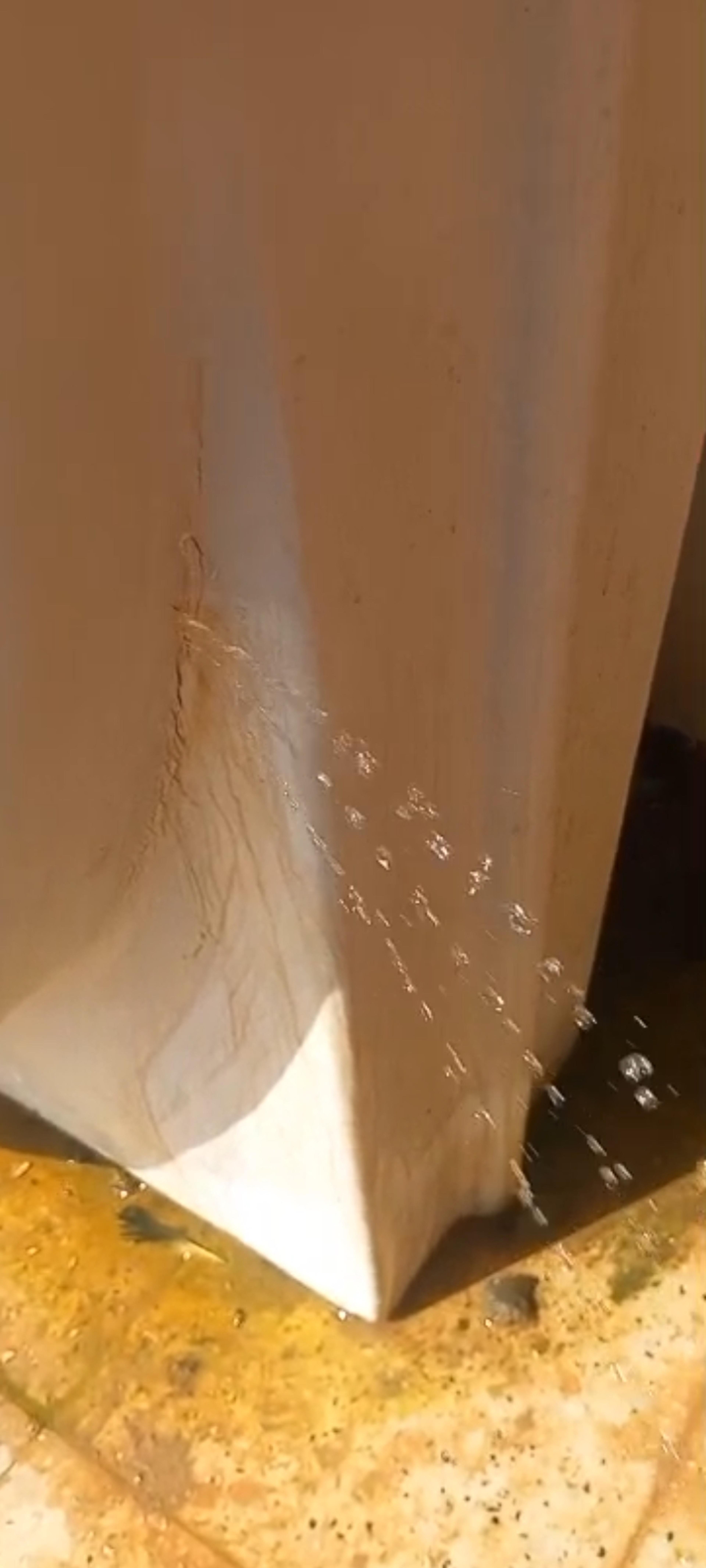 2391f699-d7a7-4906-96c9-9dbc10d48289.jpeg