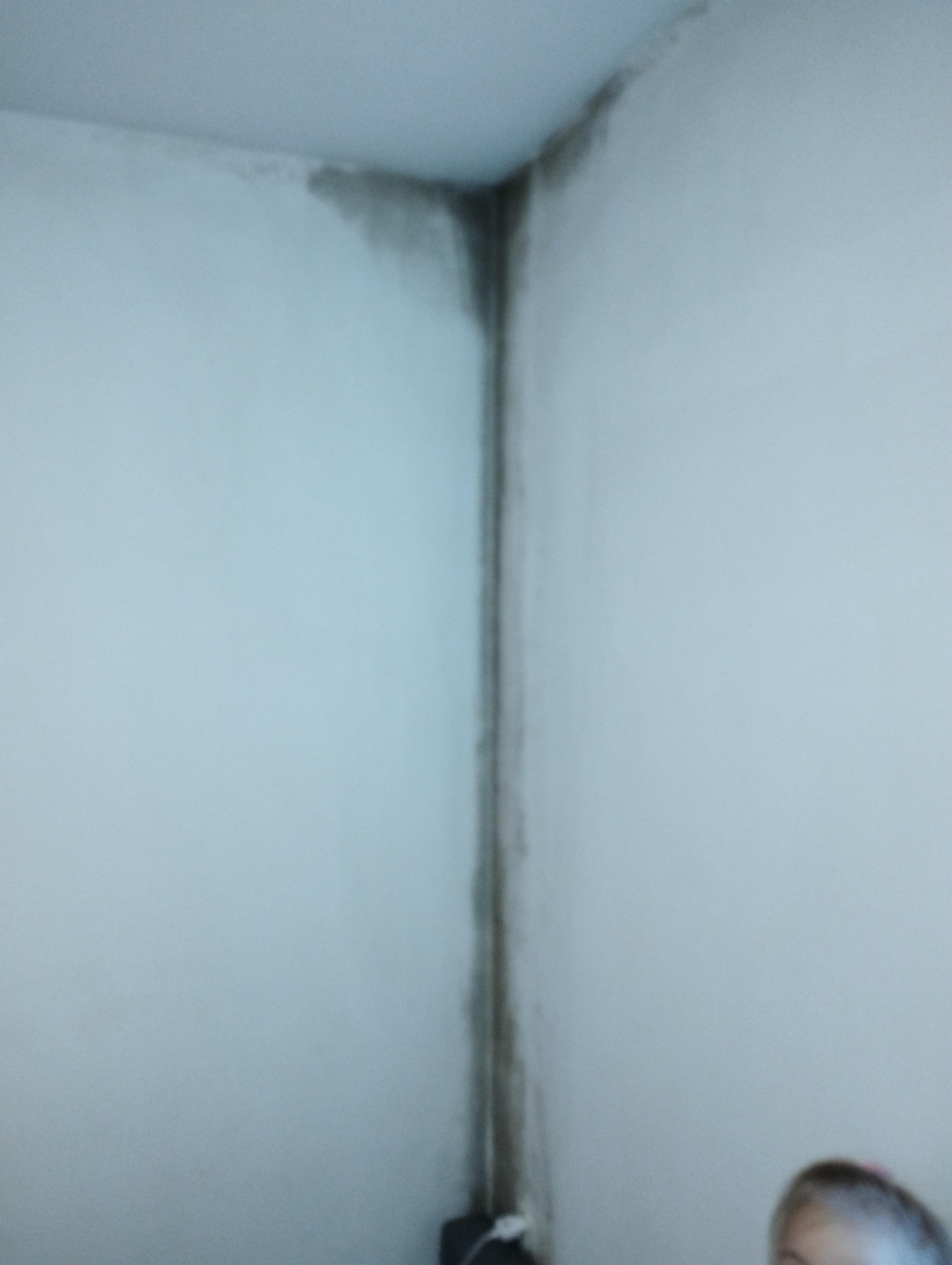 23d44866-81fc-45b5-856b-26c96b351637.jpeg