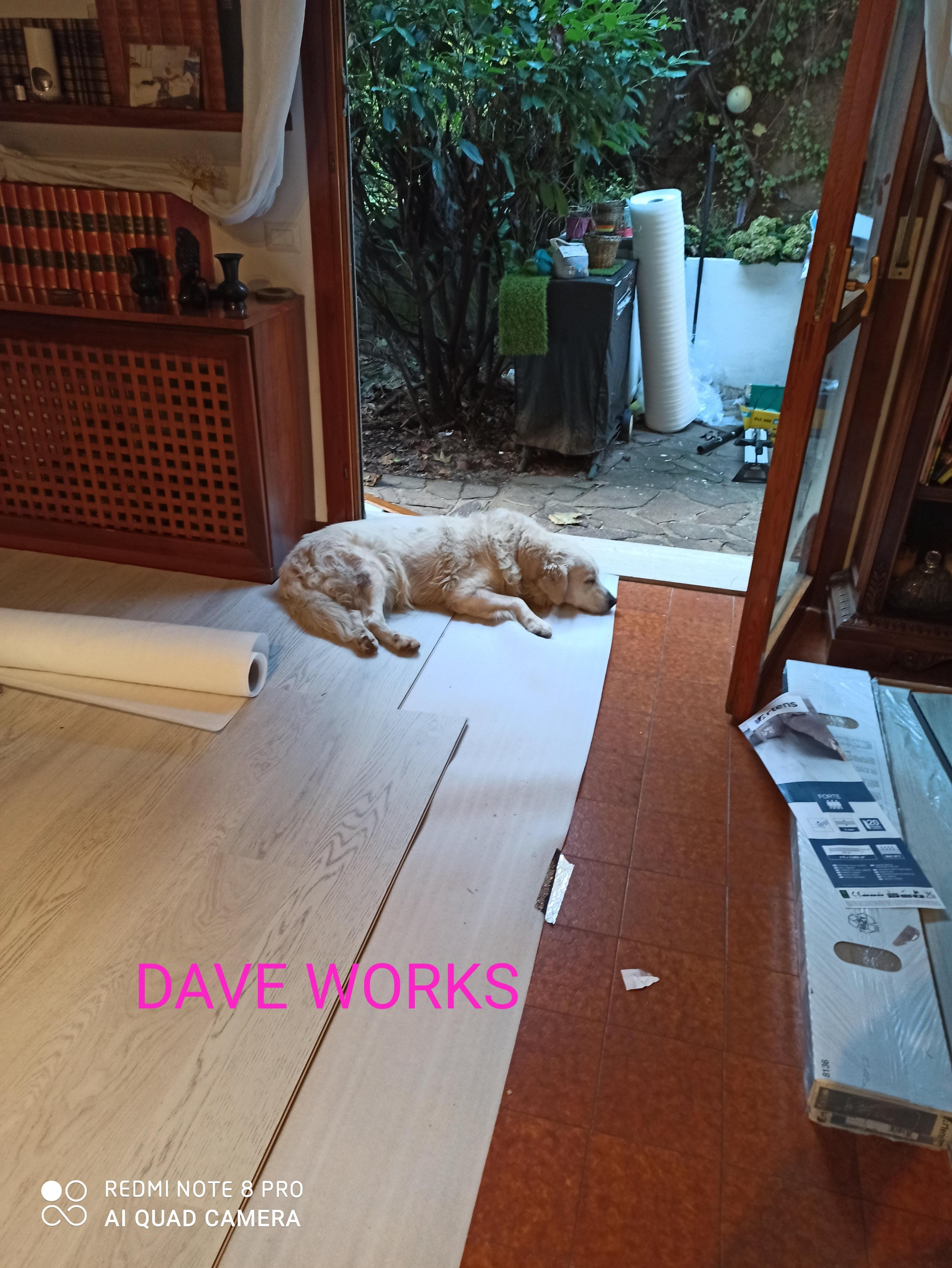 249db81d-56b4-4200-8f81-1242f399f3c9.jpeg