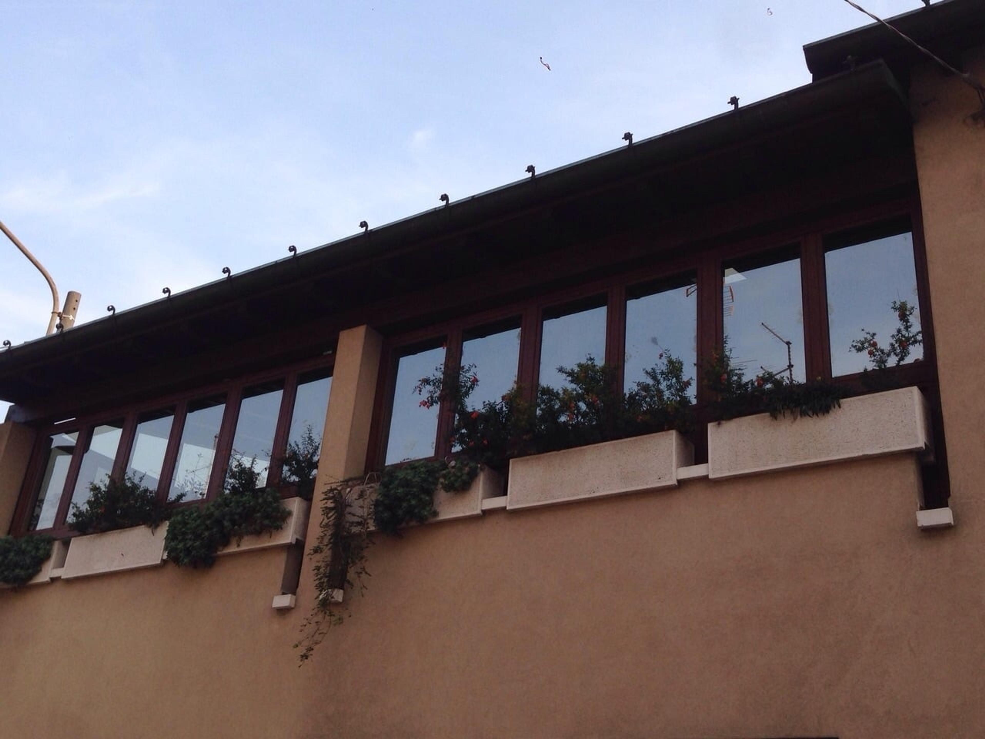 24e6d392-c631-40ab-87d8-a0259dc44d3c.jpeg