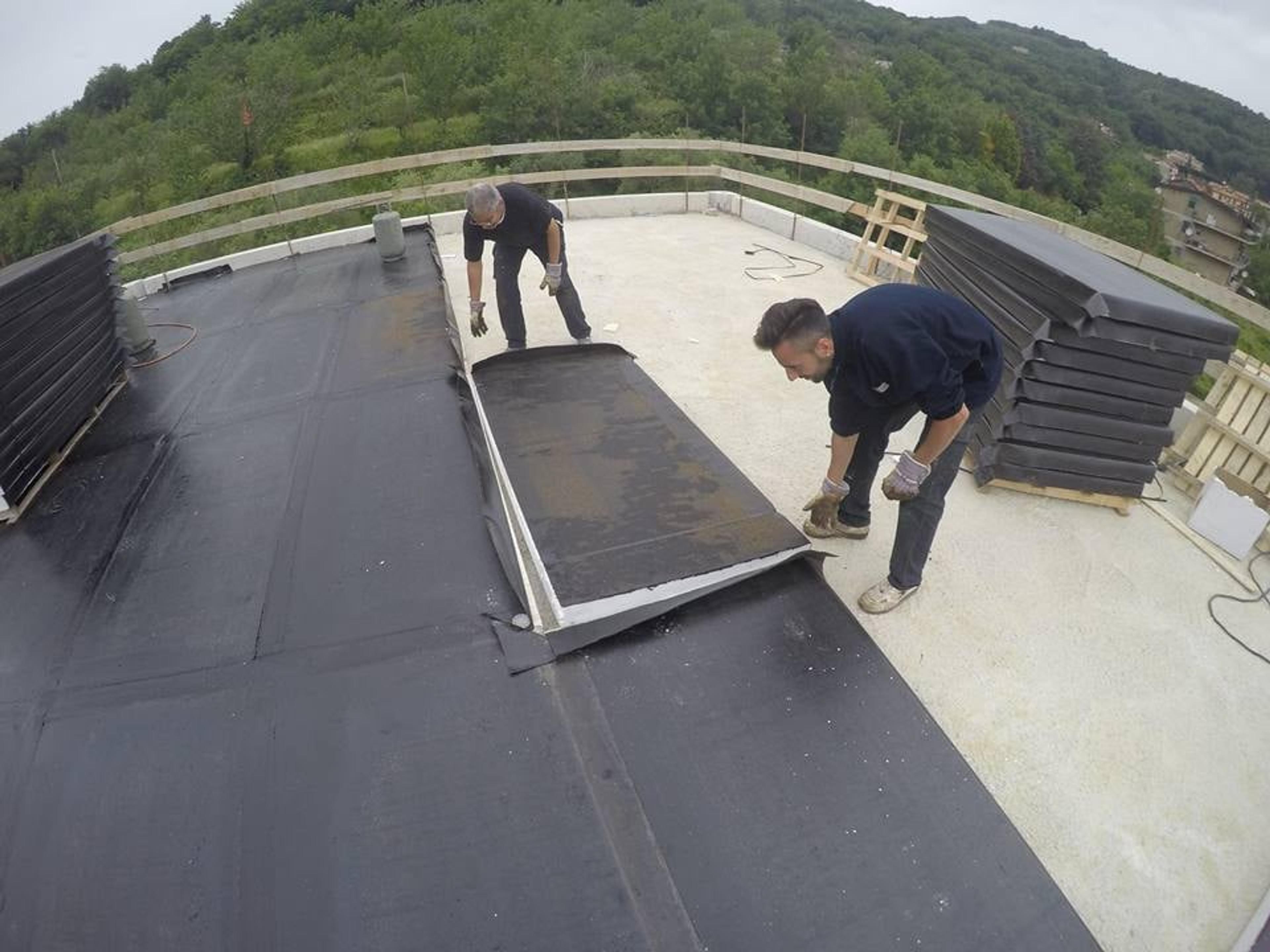 253a53d7-3464-4894-8829-05b46087350e.jpg