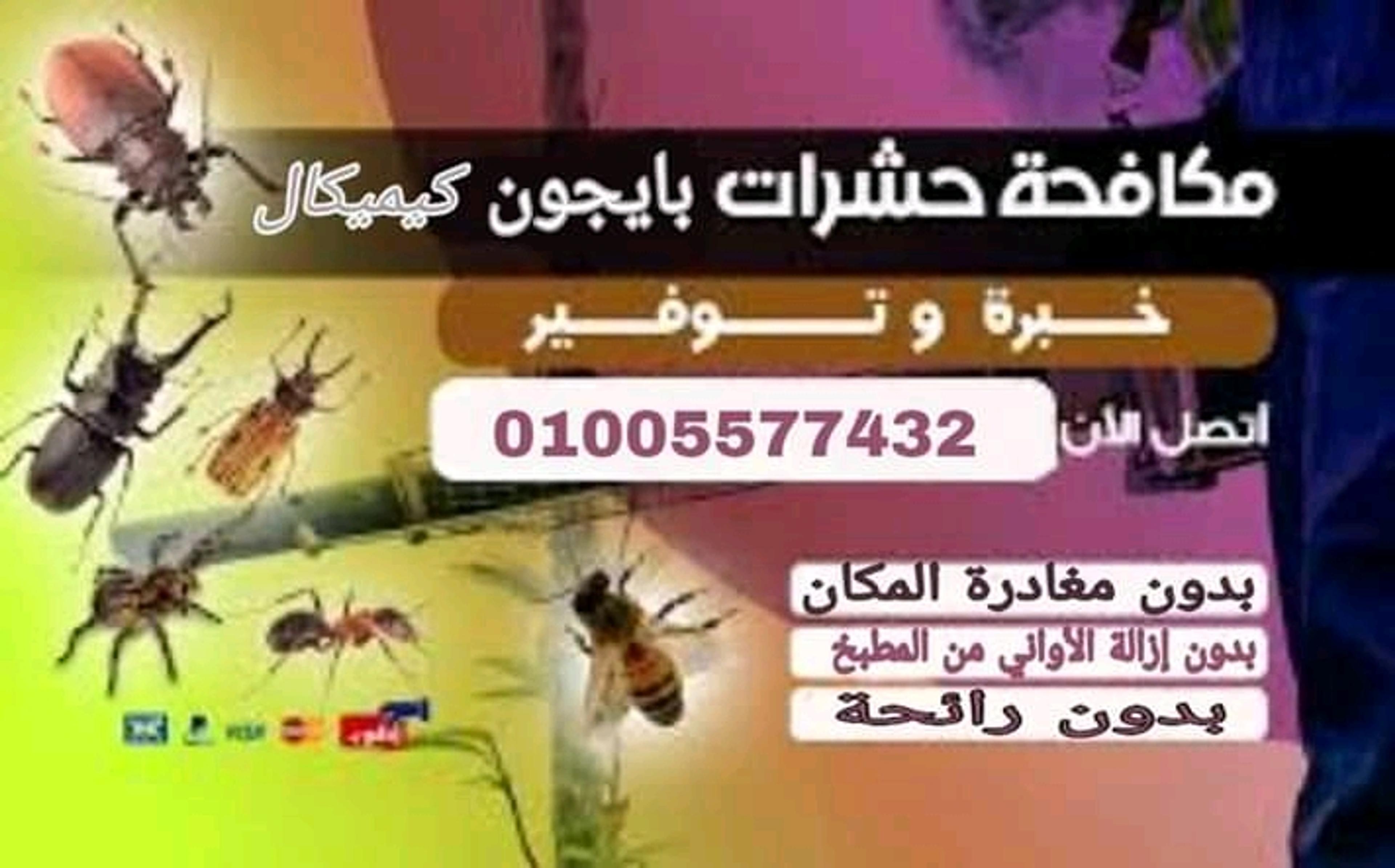 25ae0e5e-ae1d-4f47-af62-1a4c9e201c07.jpeg