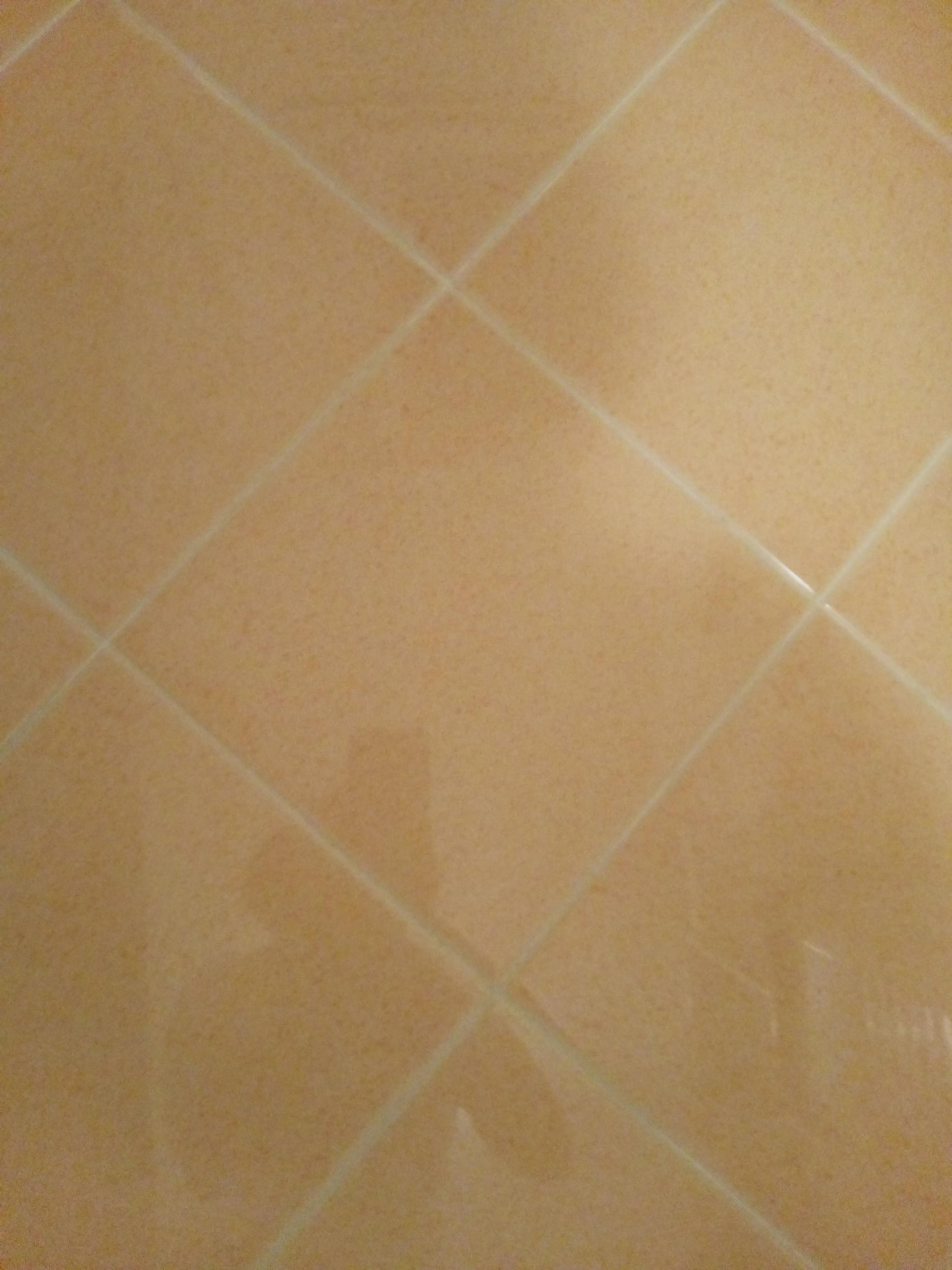 25b89b21-d36d-49ea-b87b-05ccc6093614.jpeg