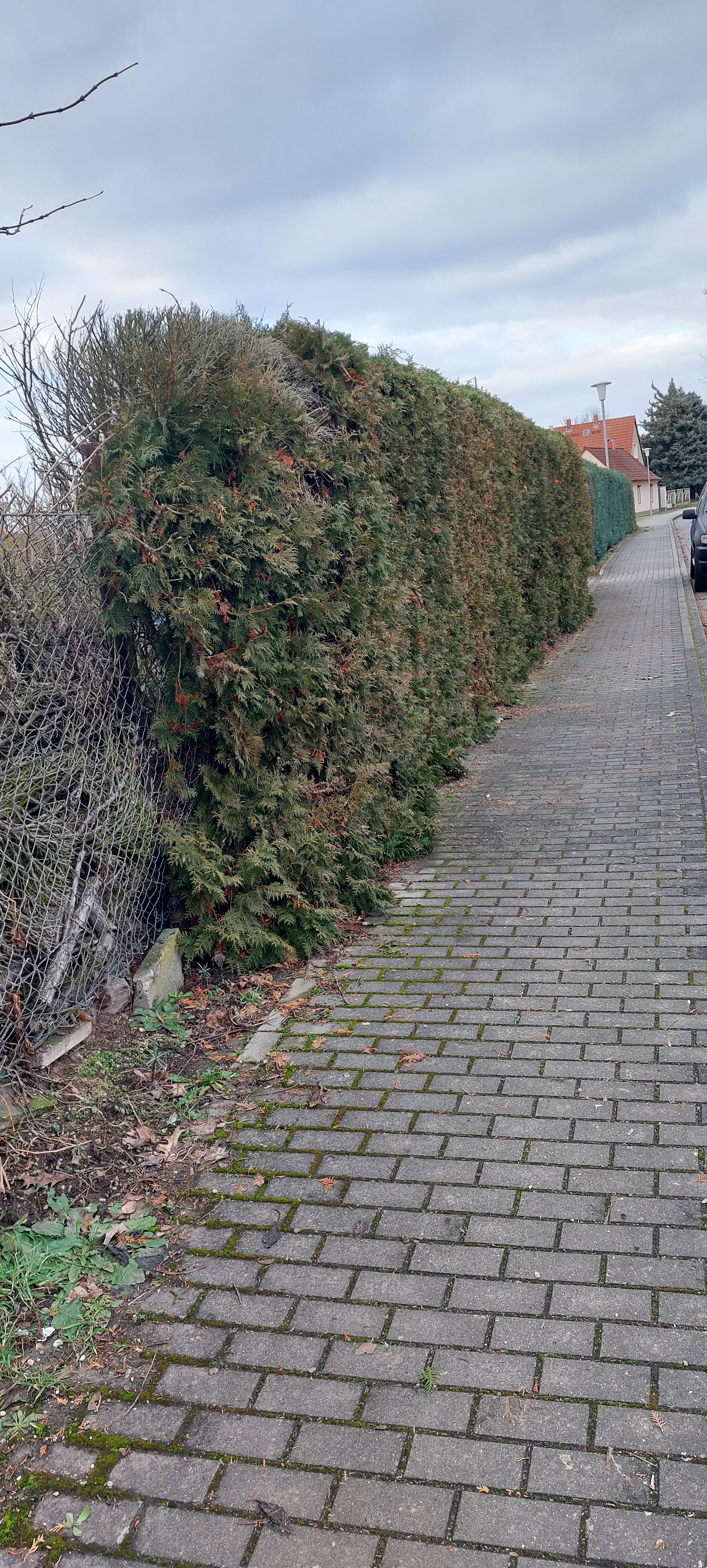 2644a809-0890-4011-9d2d-36d33591151d.jpeg
