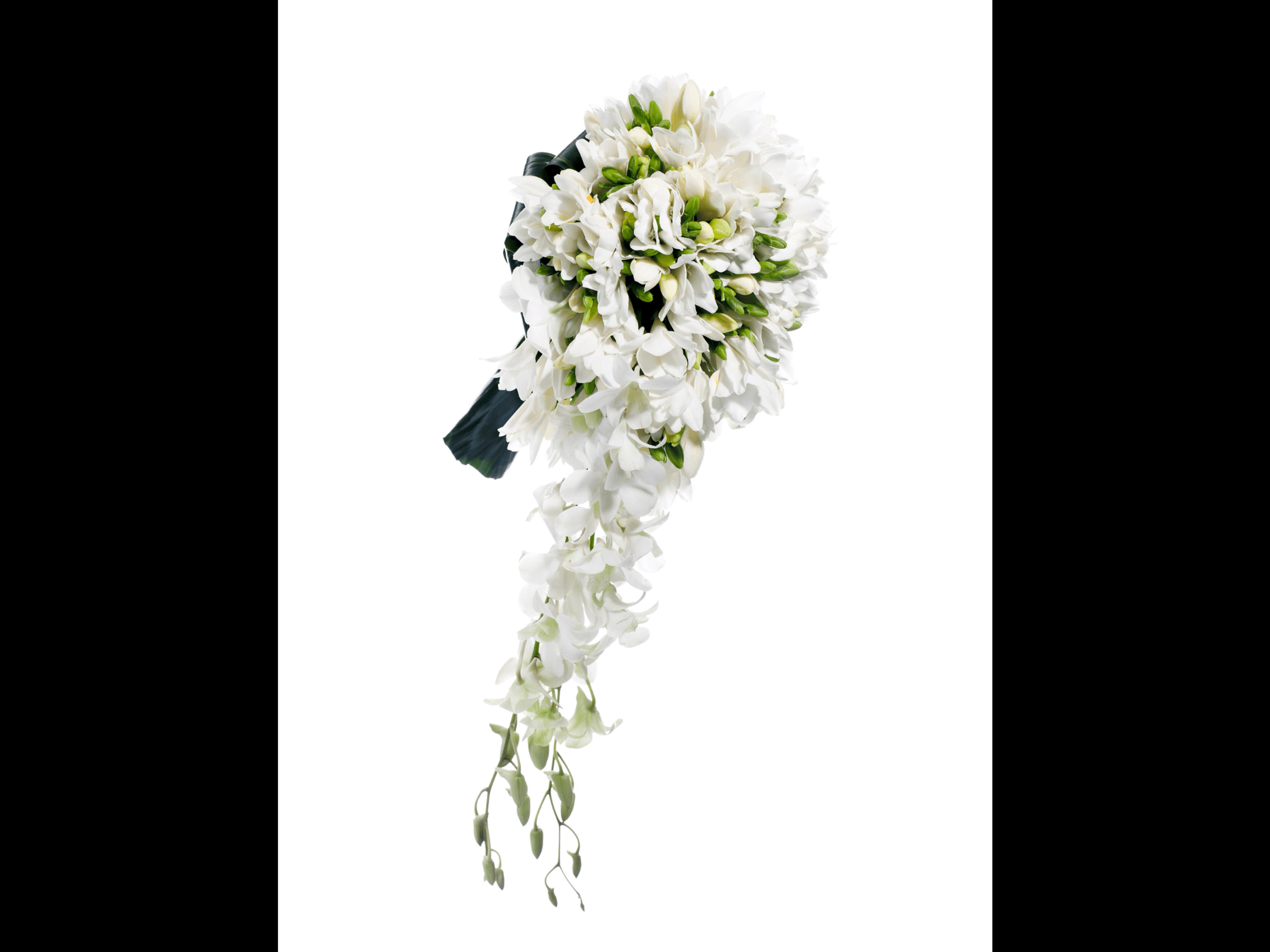 264de27f-d782-4e71-9cf5-33442f3b923a.png