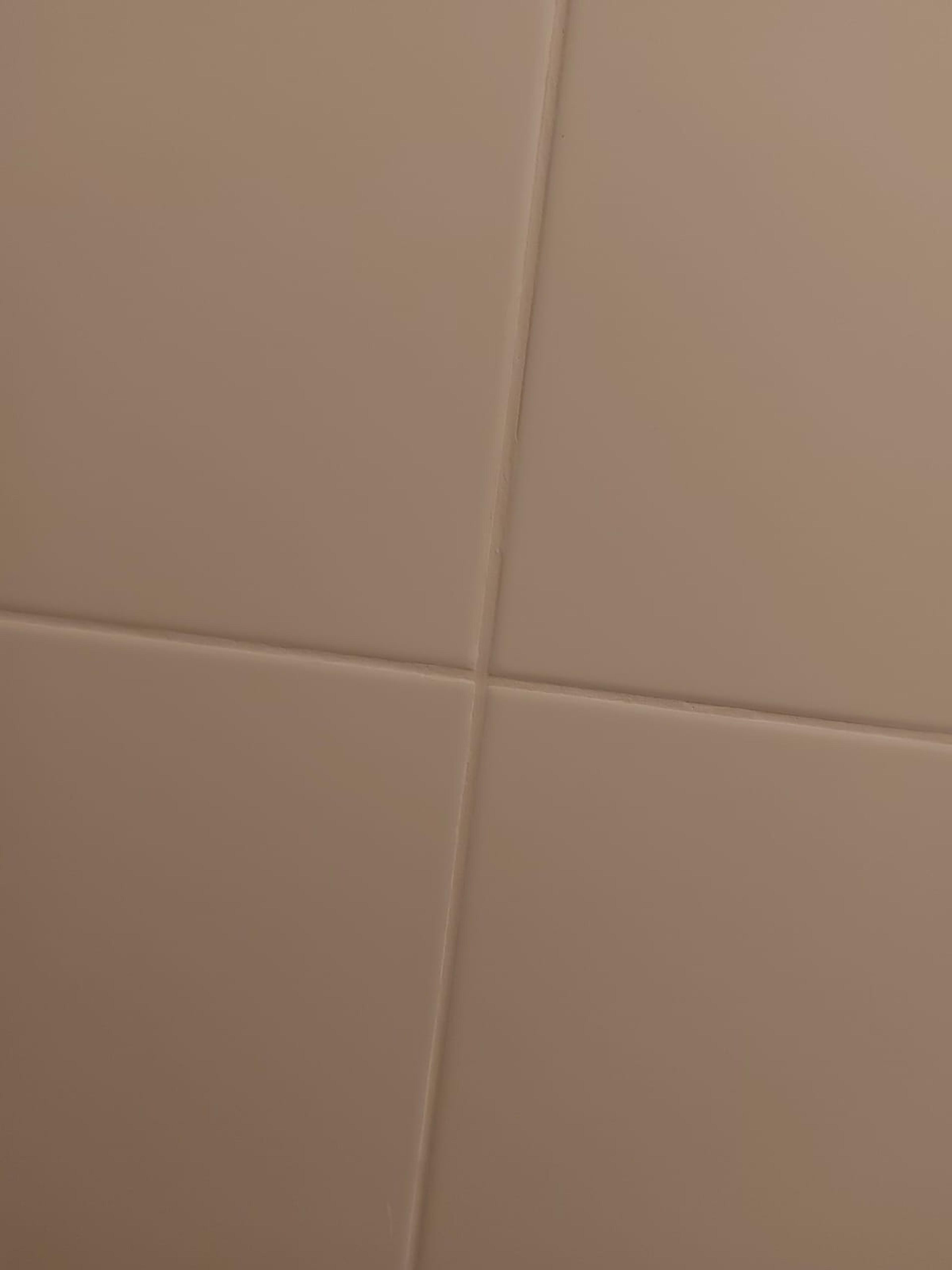 26871b74-ae7f-4e77-9b50-04b674f99664.jpeg
