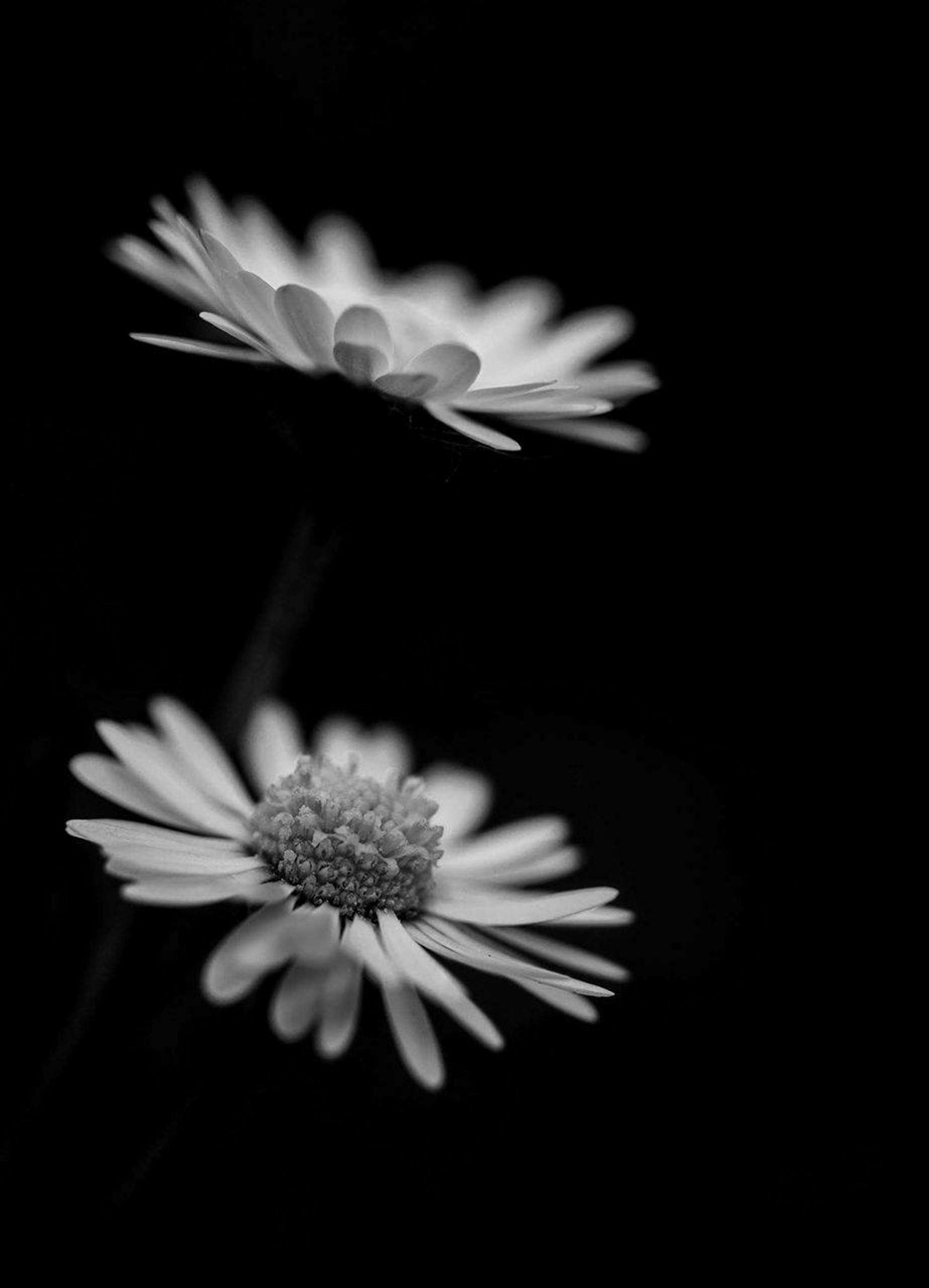 2711d60c-8056-4c86-b25b-57915e56b297.png