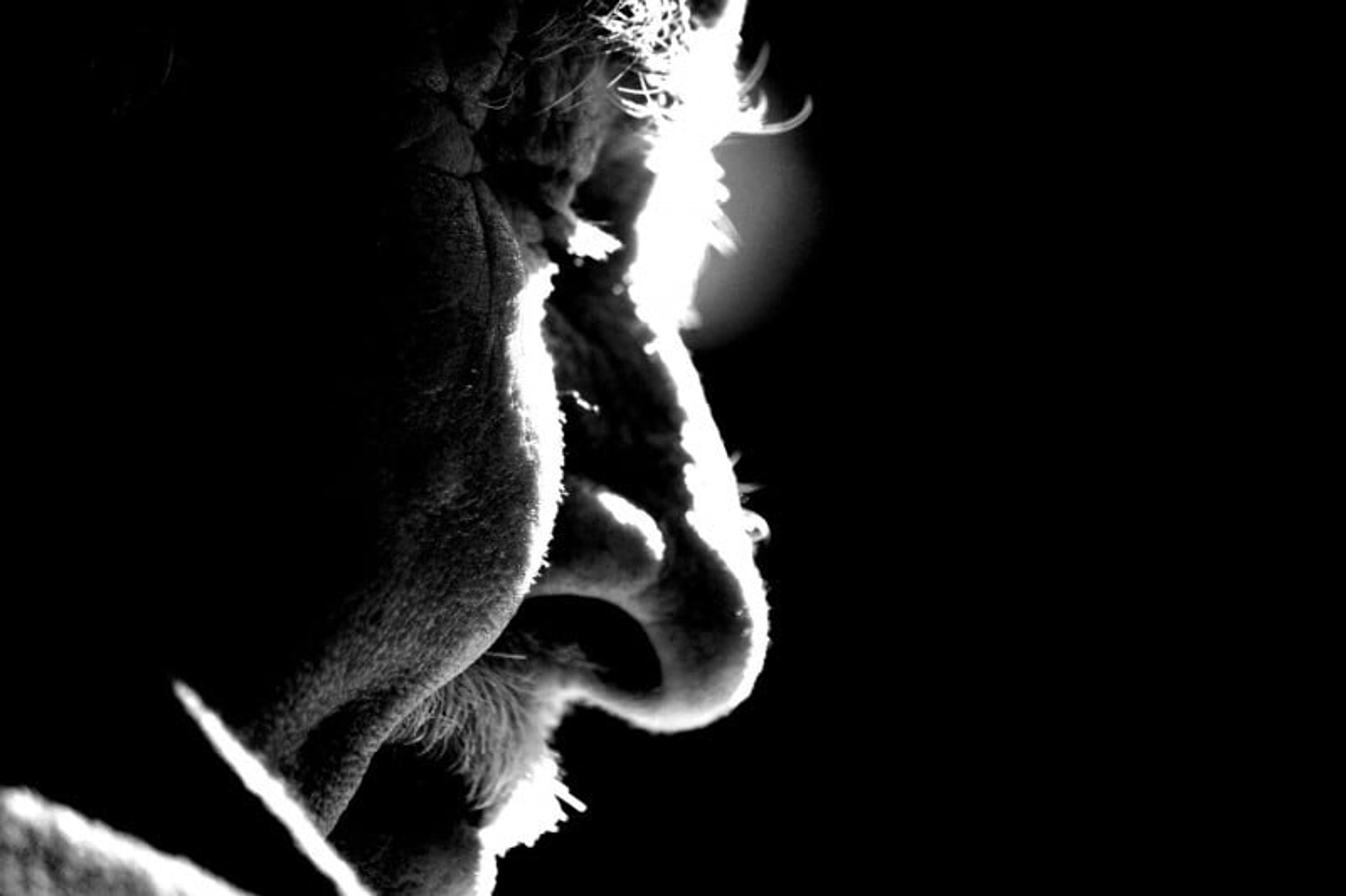 284cc5c2-b237-45e9-9e81-4335d674d64b.jpeg
