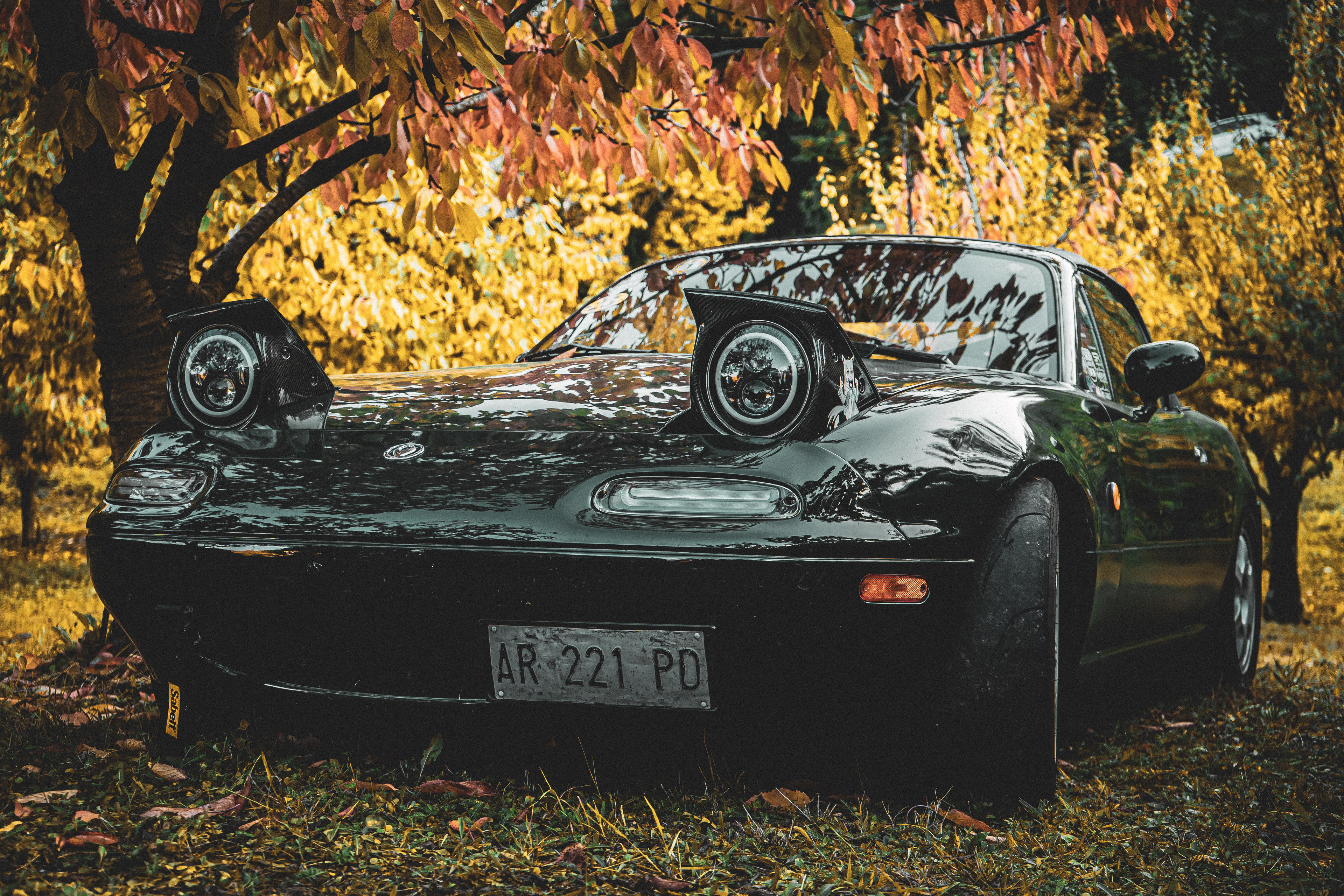 28d99337-883b-4df0-a0e6-63facc105cbf.jpeg