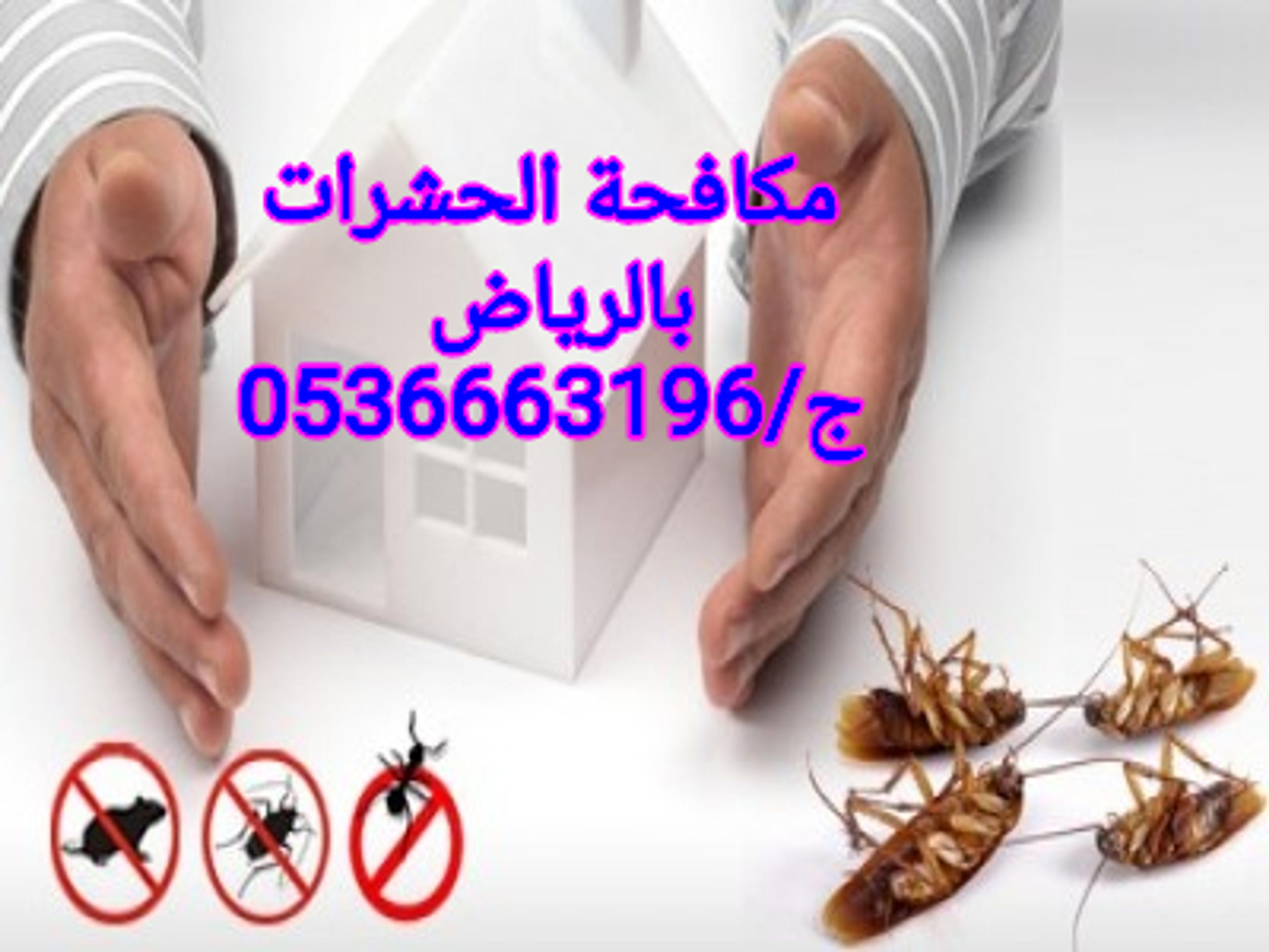 29ce9368-c01f-46d0-ba31-0e461562471f.png