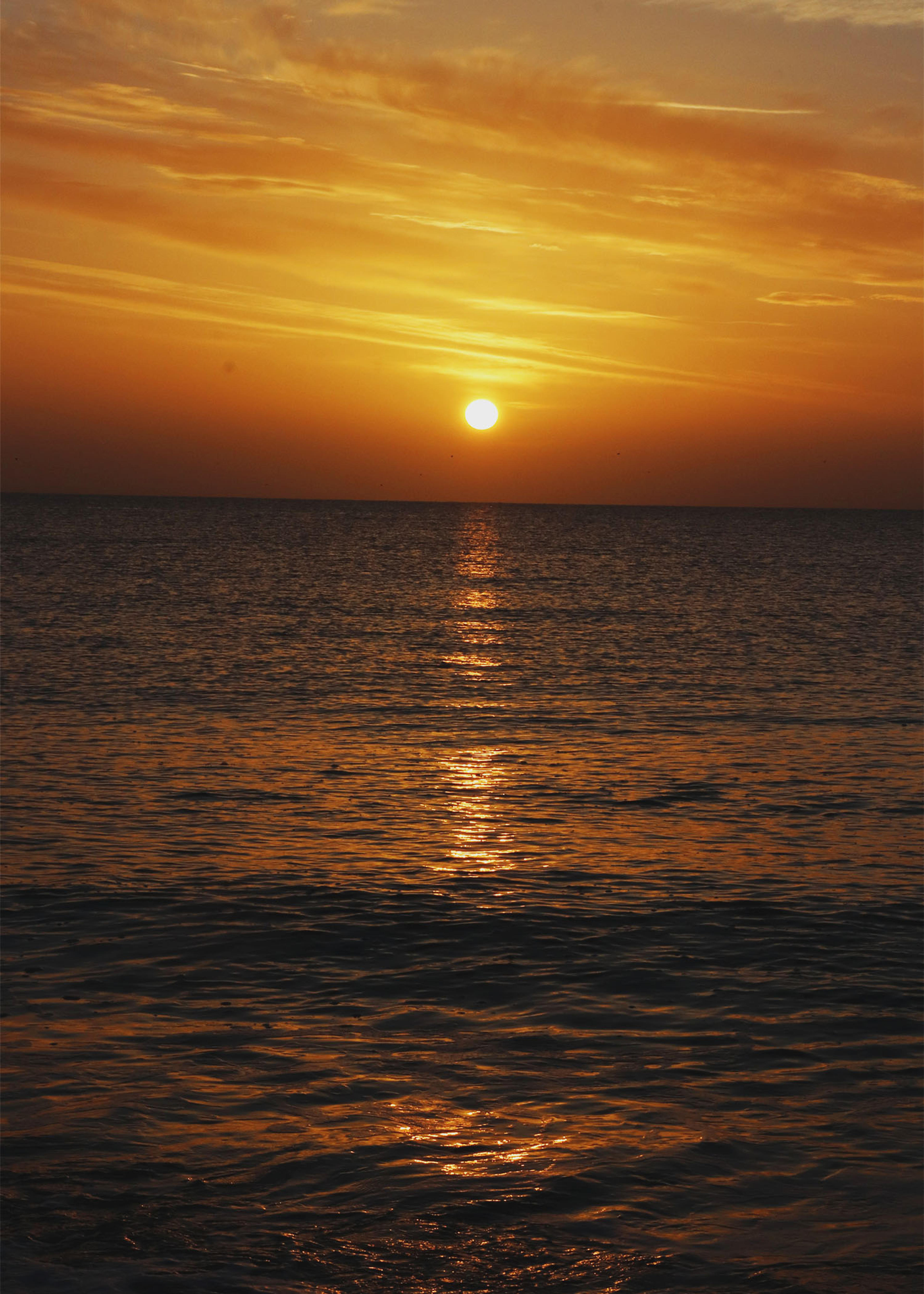 29df3a1b-f33c-4bf7-972b-bcd68ba33d02.jpeg