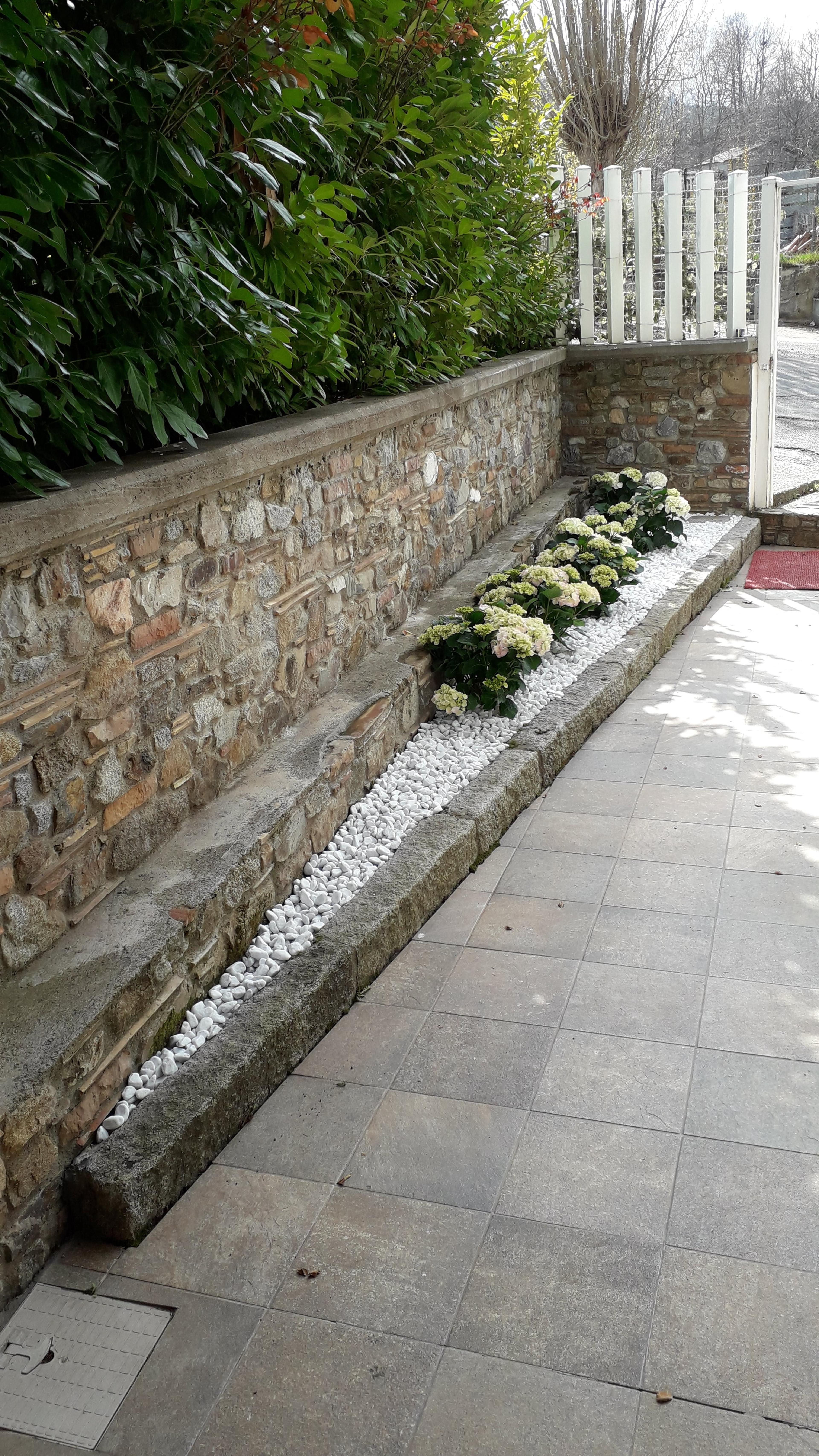 29f593c9-6770-4efe-a7ce-3e0a0d0667d2.jpeg