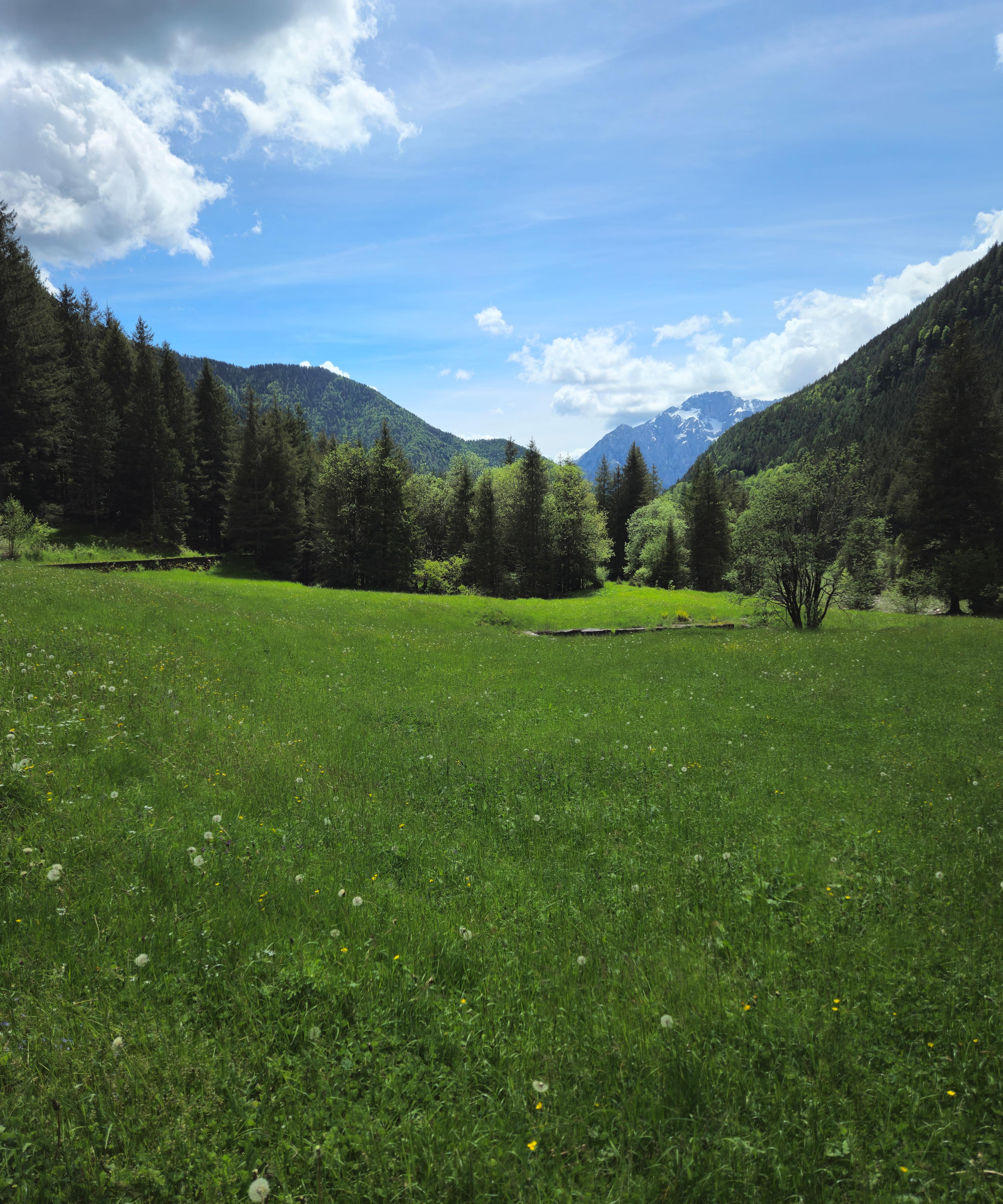 2a2c1747-e274-4722-9d29-bd1cf115434b.jpeg