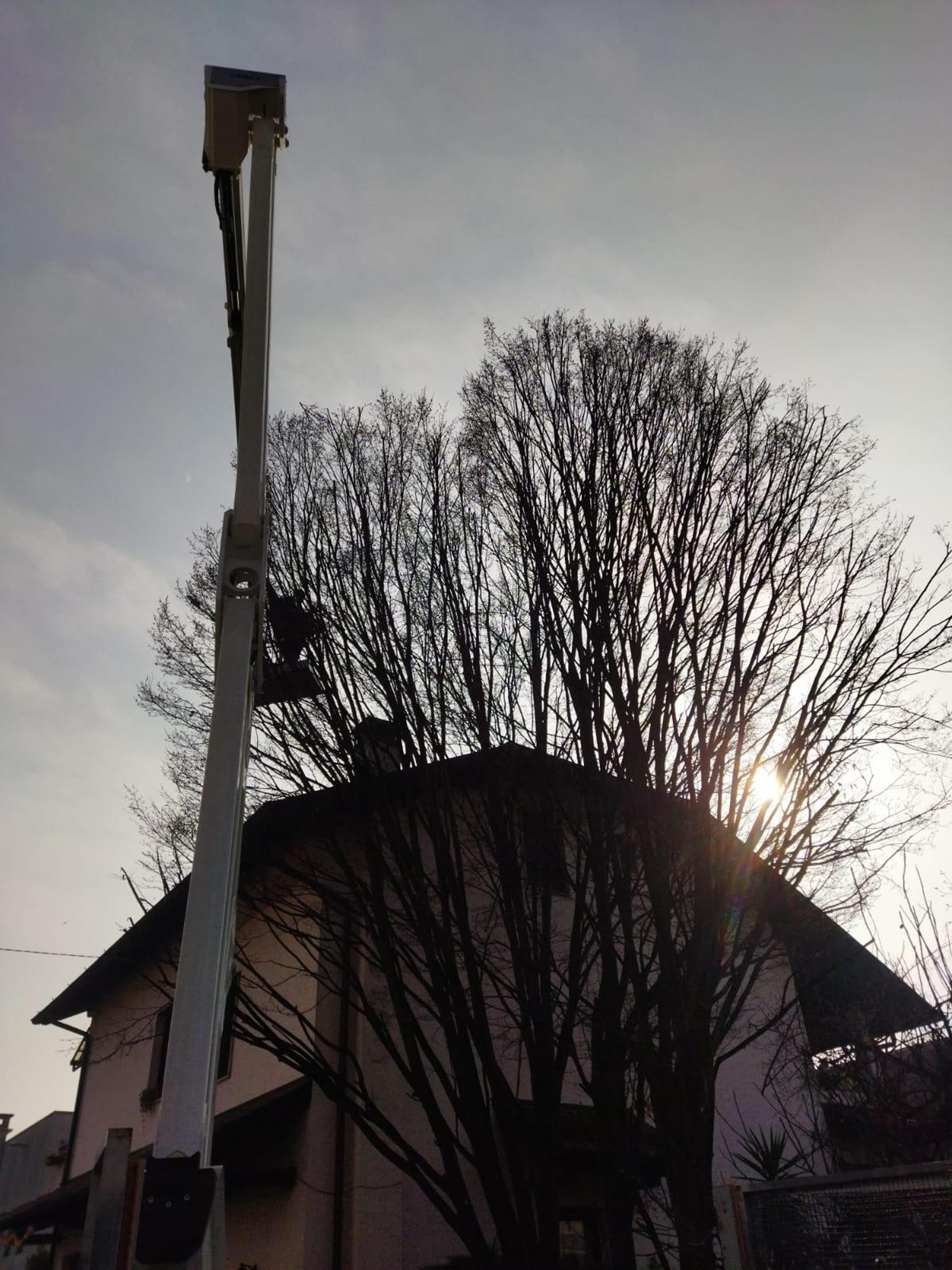 2b32f061-c5c8-470b-af2c-481854c5610f.jpeg