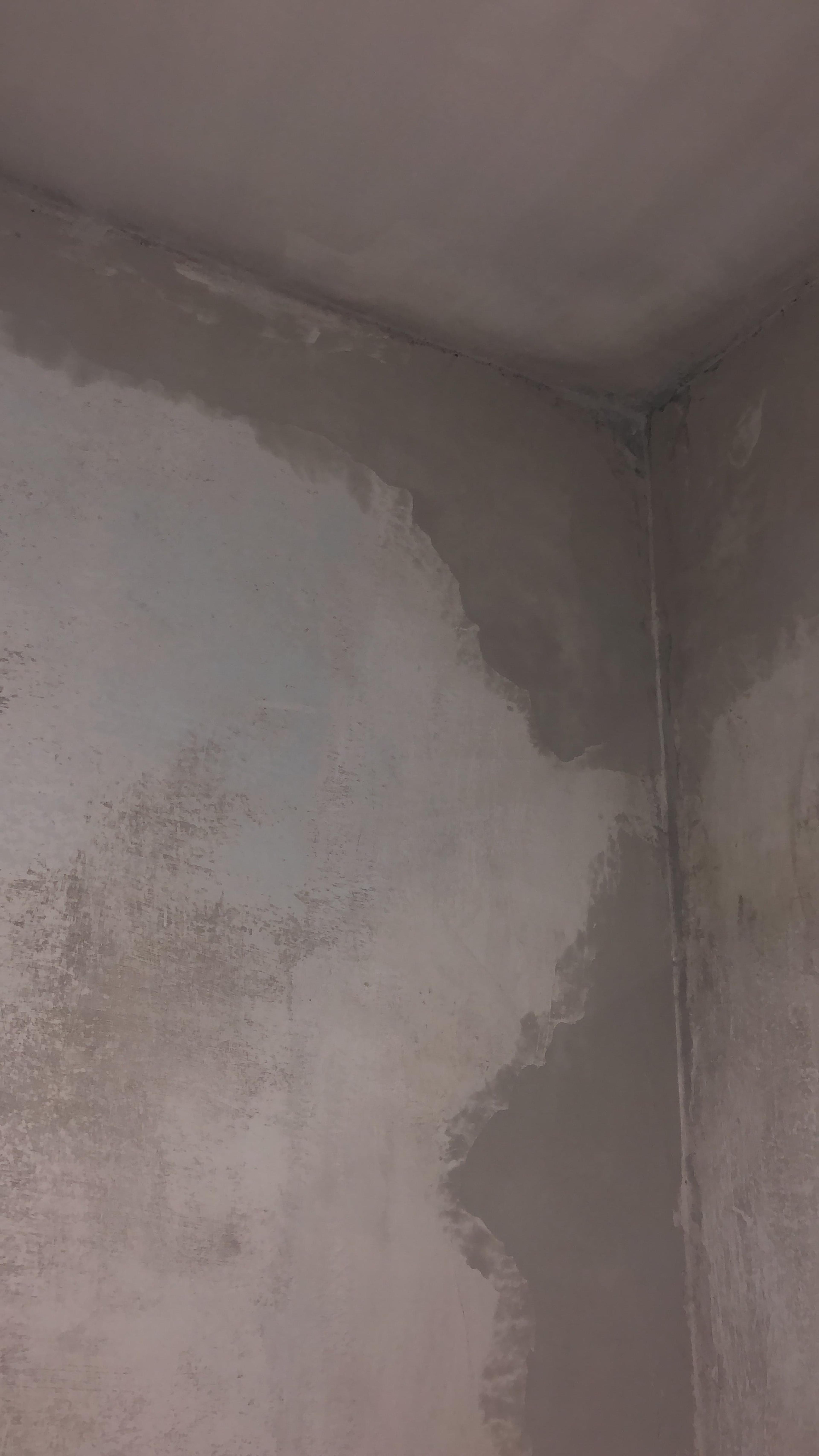 2c9faa62-ee23-4364-a0da-a8c3264d0679.jpeg
