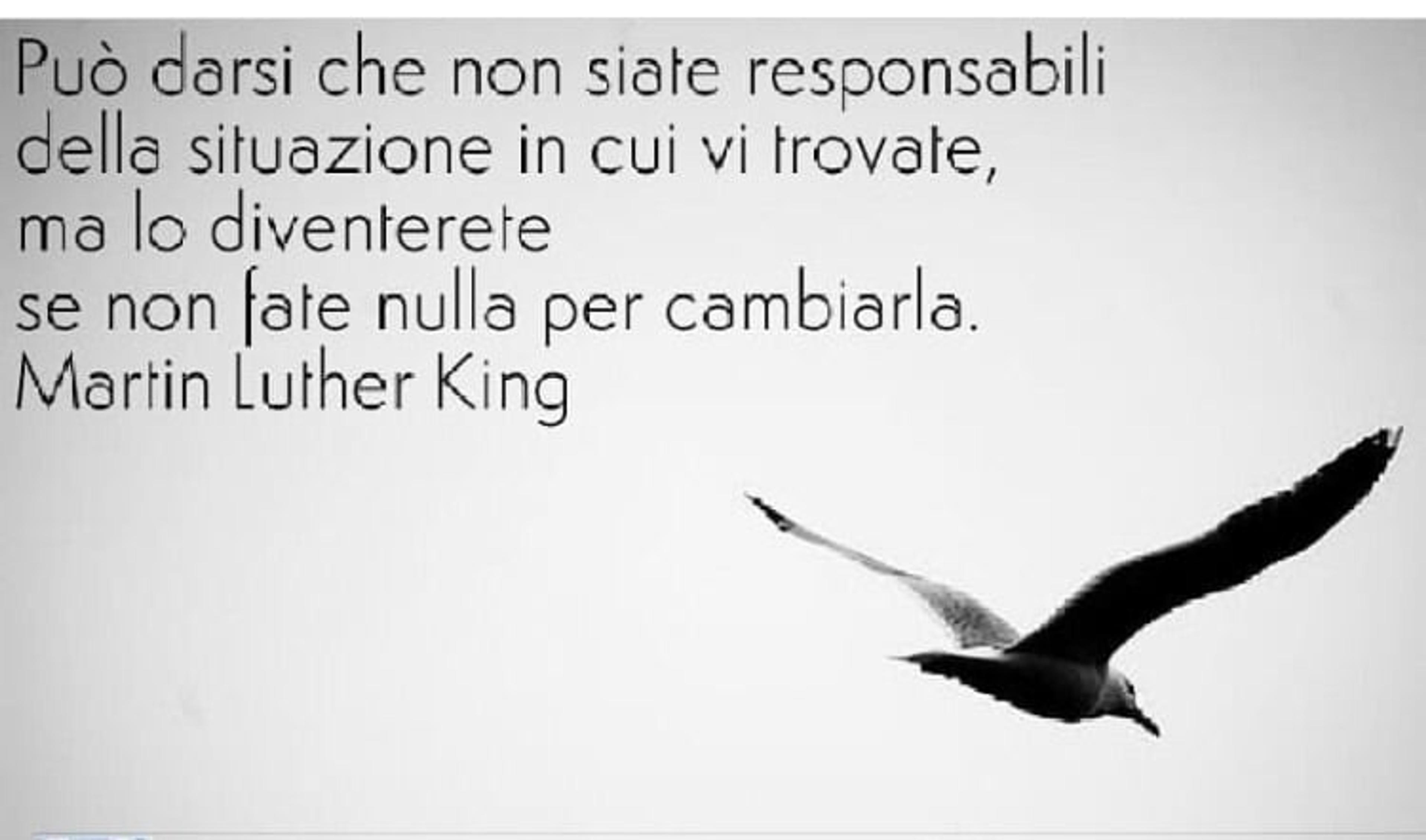 2cf5bcab-f497-47a8-bef2-6e874c073775.jpeg