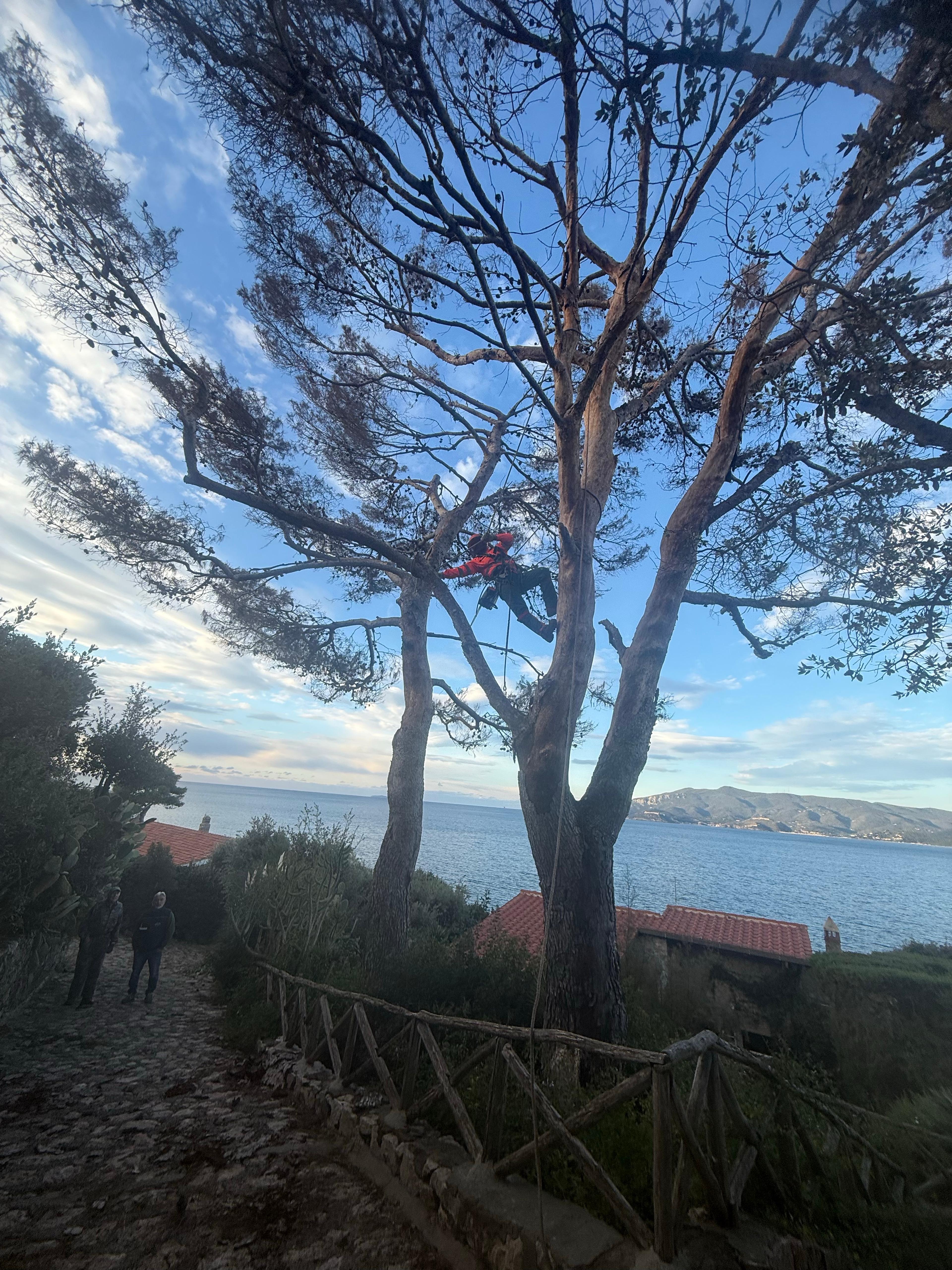 2d1c808c-b775-4399-a2a8-9c1119b0d04c.jpeg