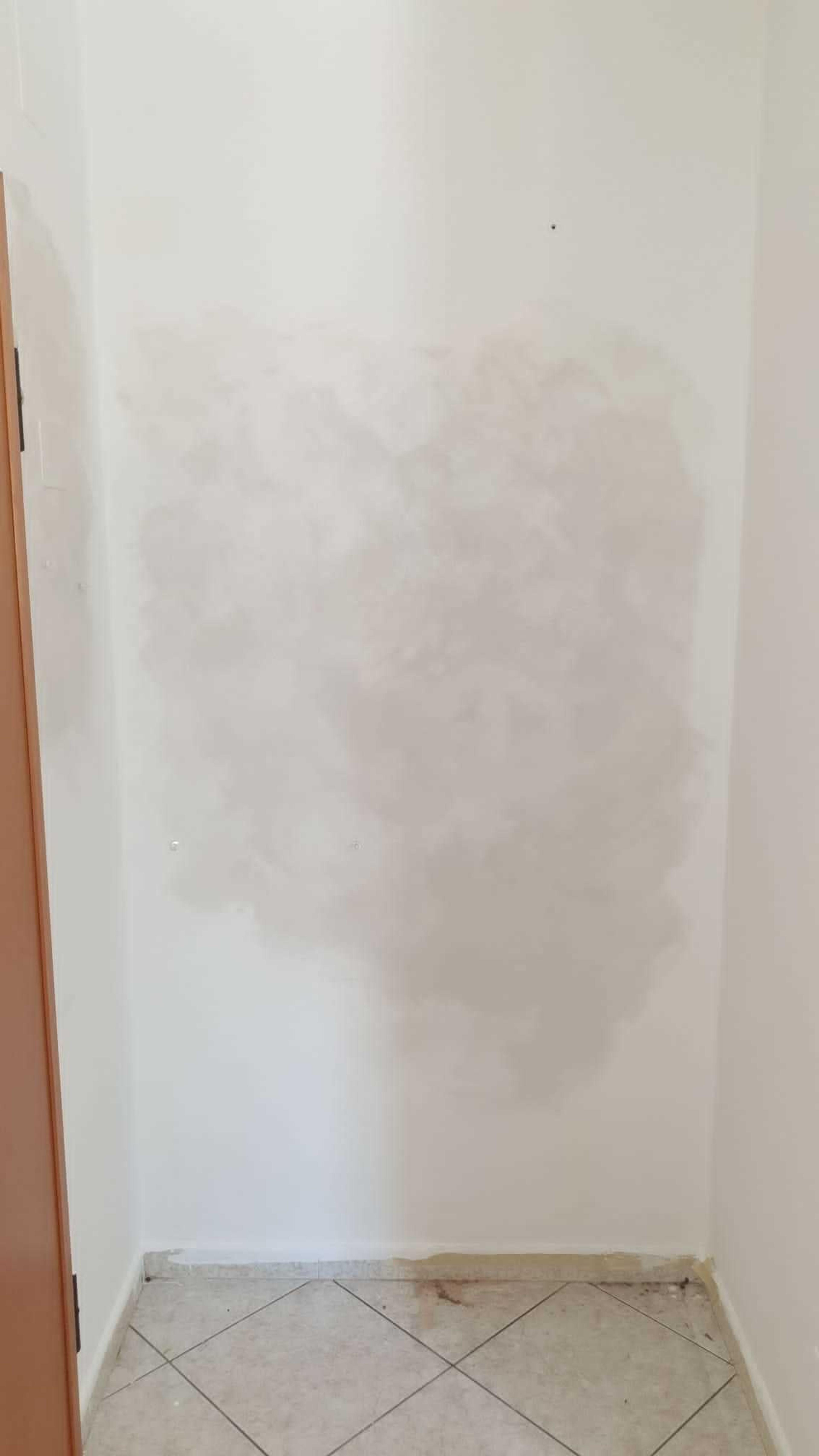 2e1b71d1-437a-4f02-acf2-e2f14d982af2.jpeg