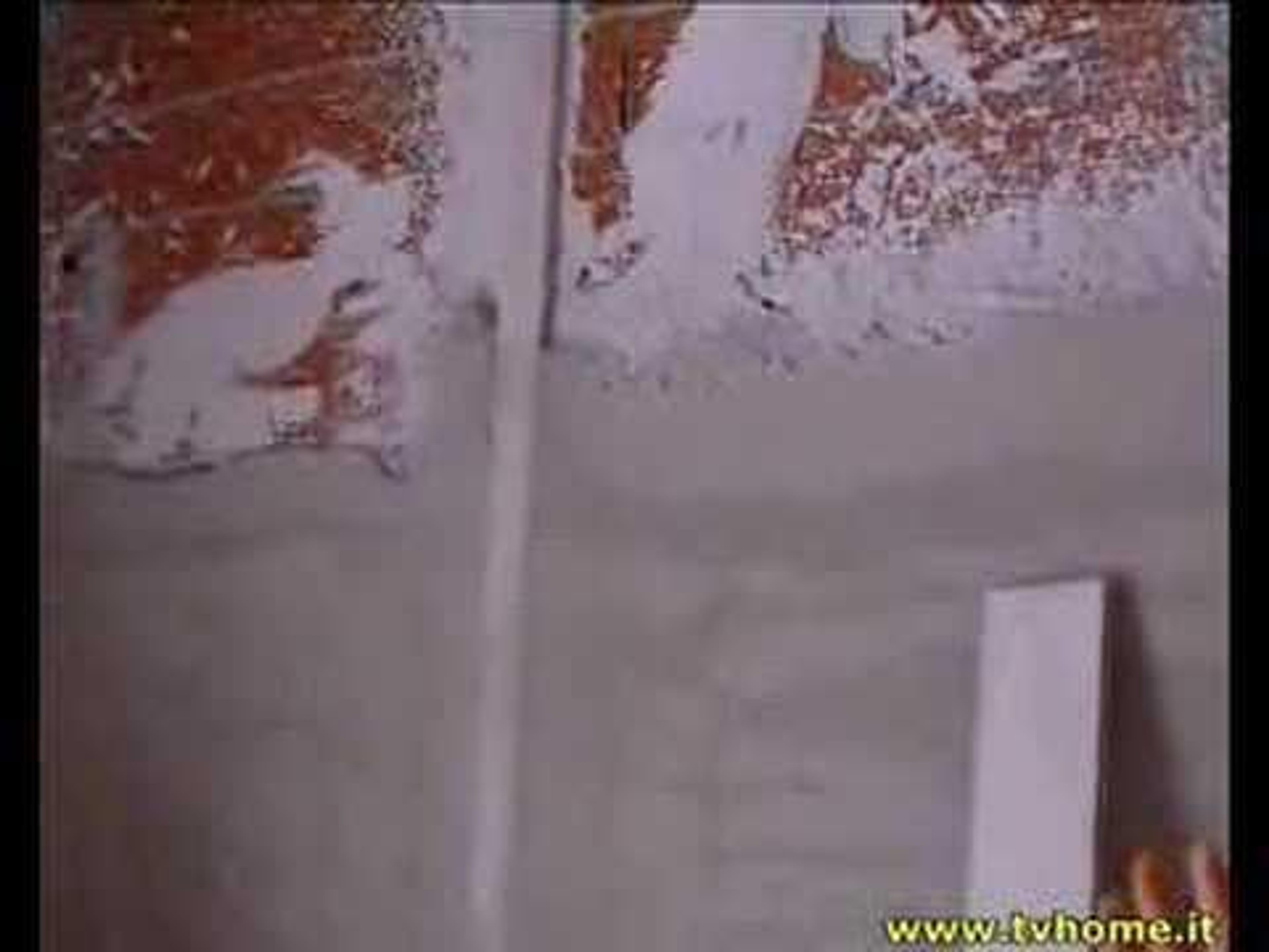 2e277379-158b-4f47-a9b1-e60ec2be49f9.jpeg