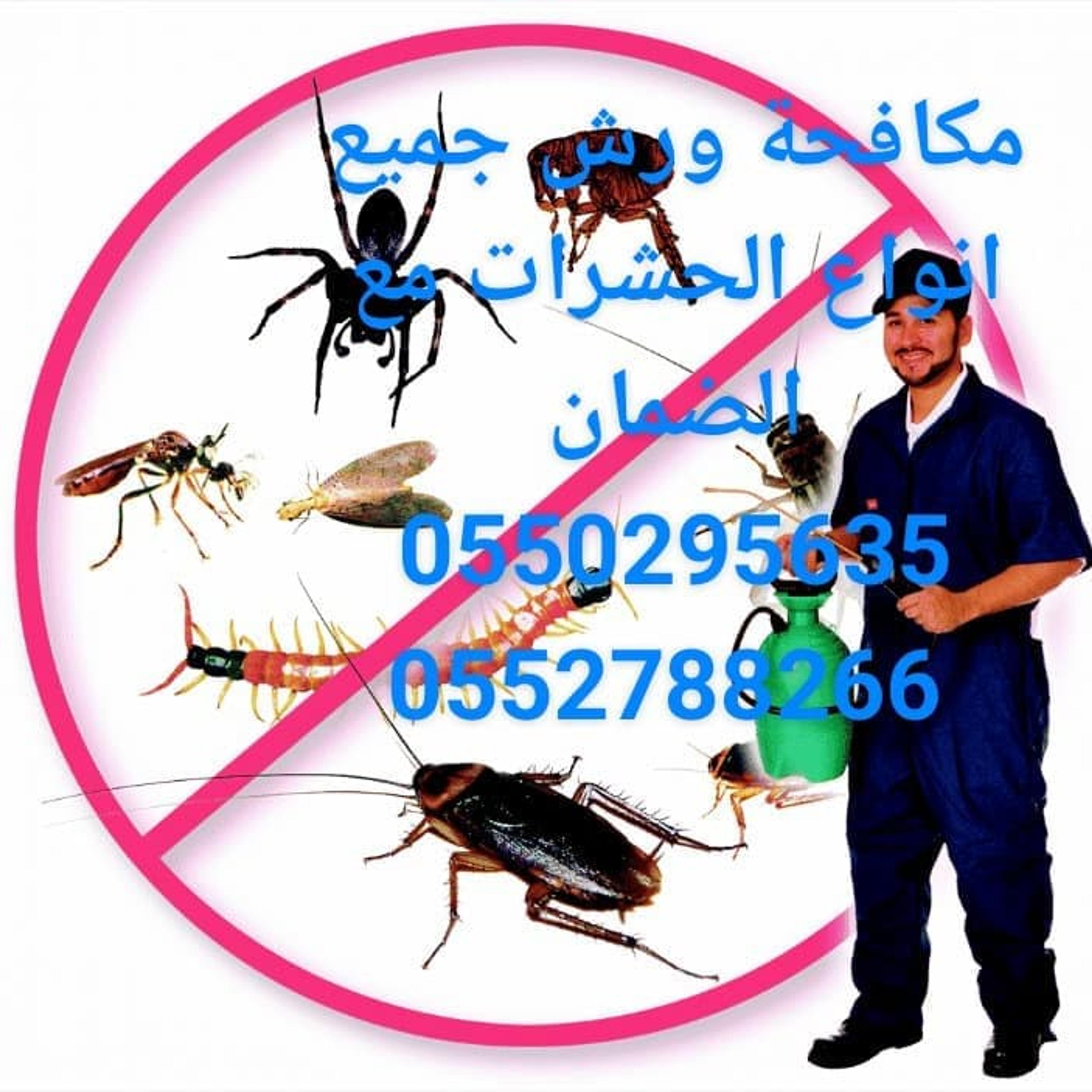 2ed139c2-2059-4320-b250-79ba97dfe0aa.jpeg