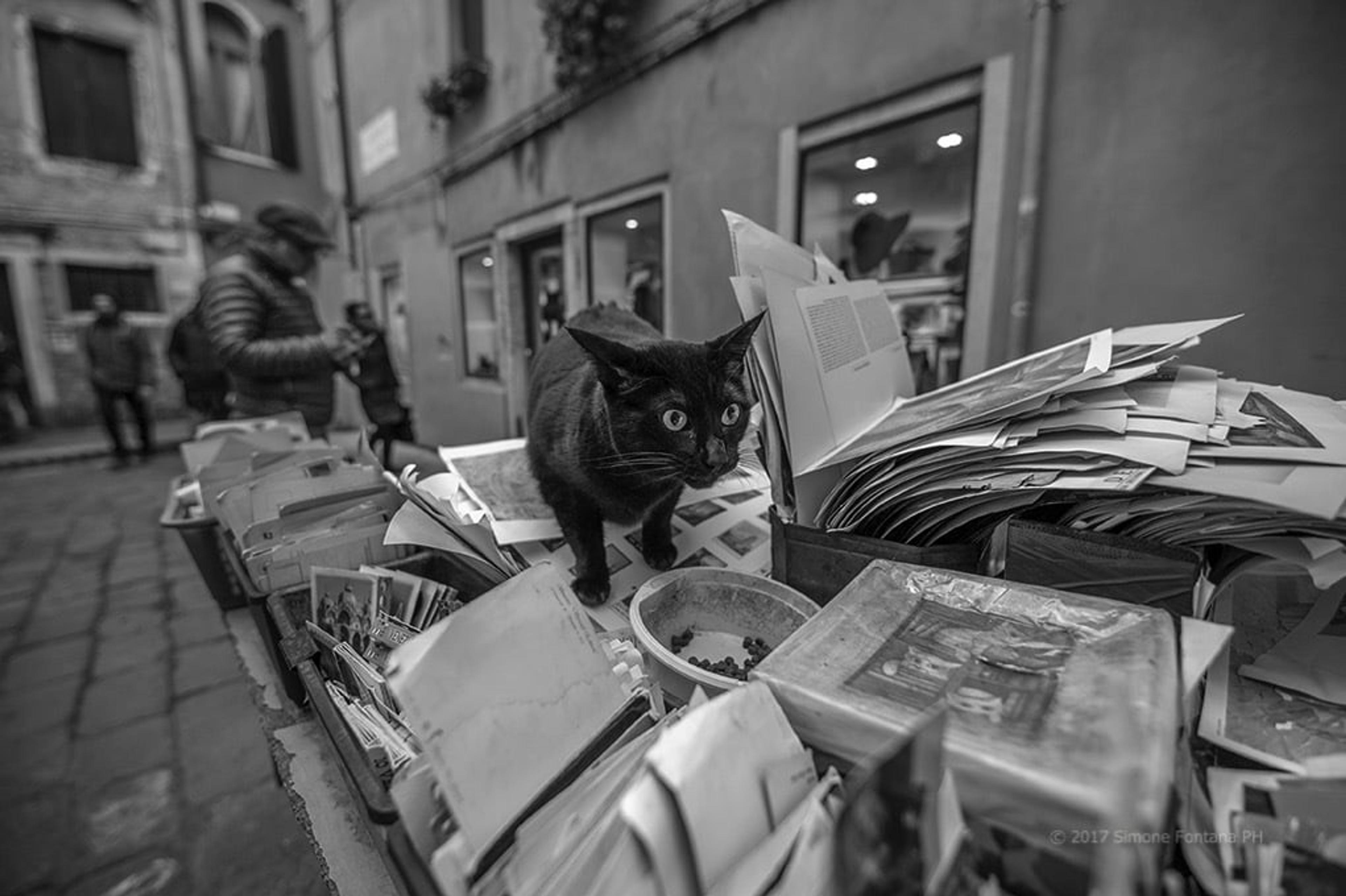 2f4cd2d0-d893-4e2b-a5da-5a972b7ad0b7.jpg