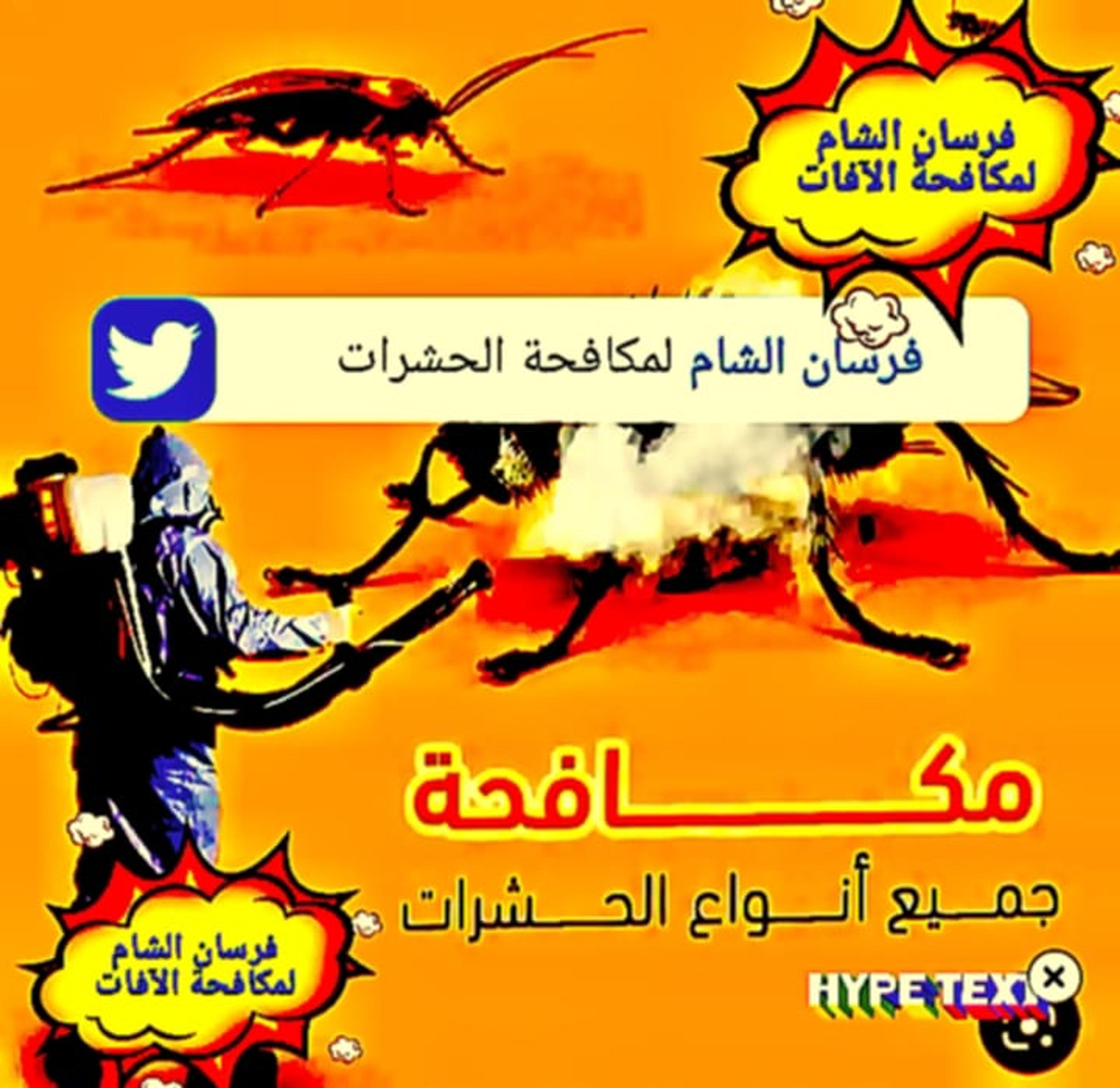 2f4dca00-c7f8-4e99-9755-43c5c492ea44.jpeg
