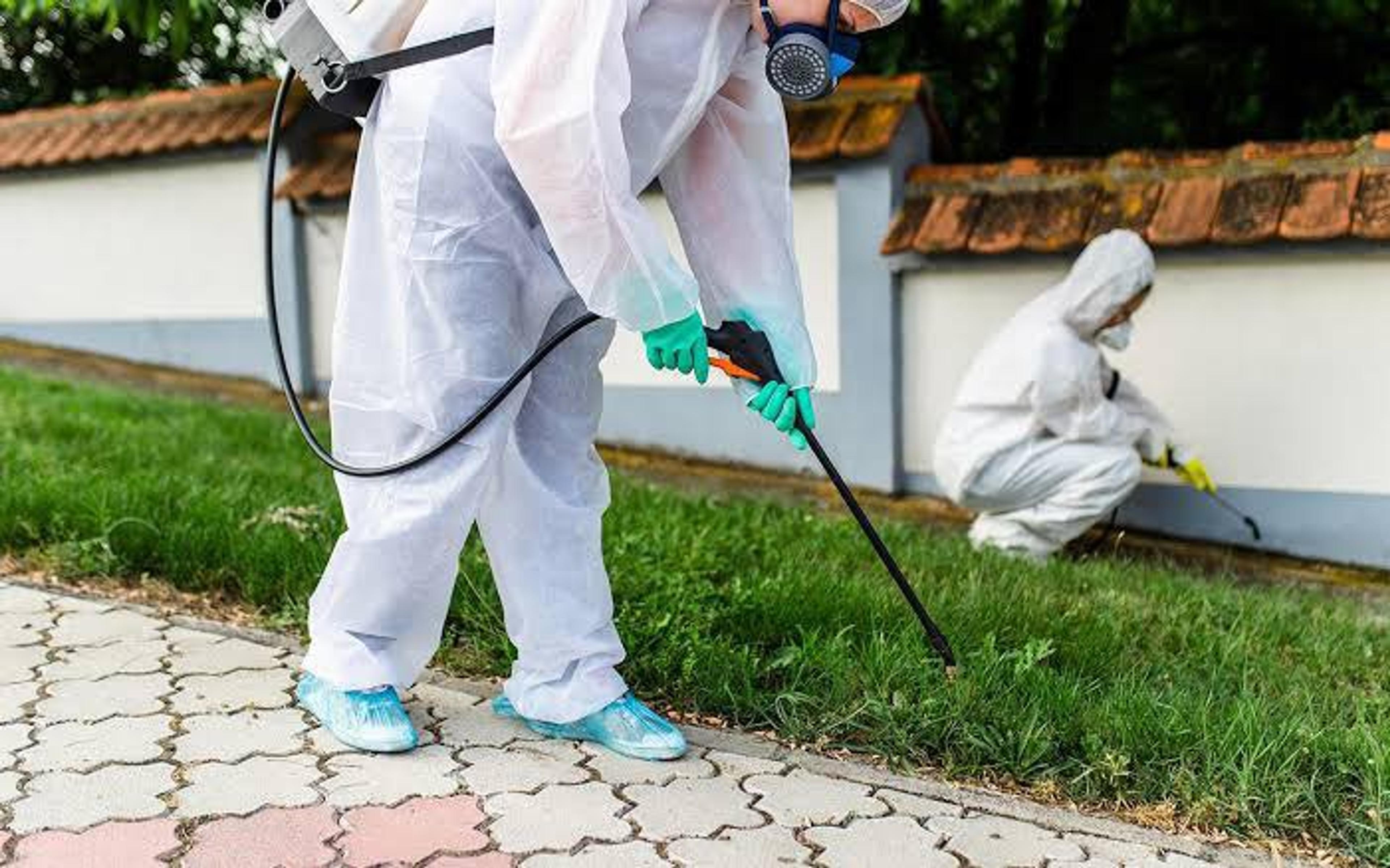 2f67cee7-0c0a-44d3-bfcb-b0fe81a7aa36.jpeg