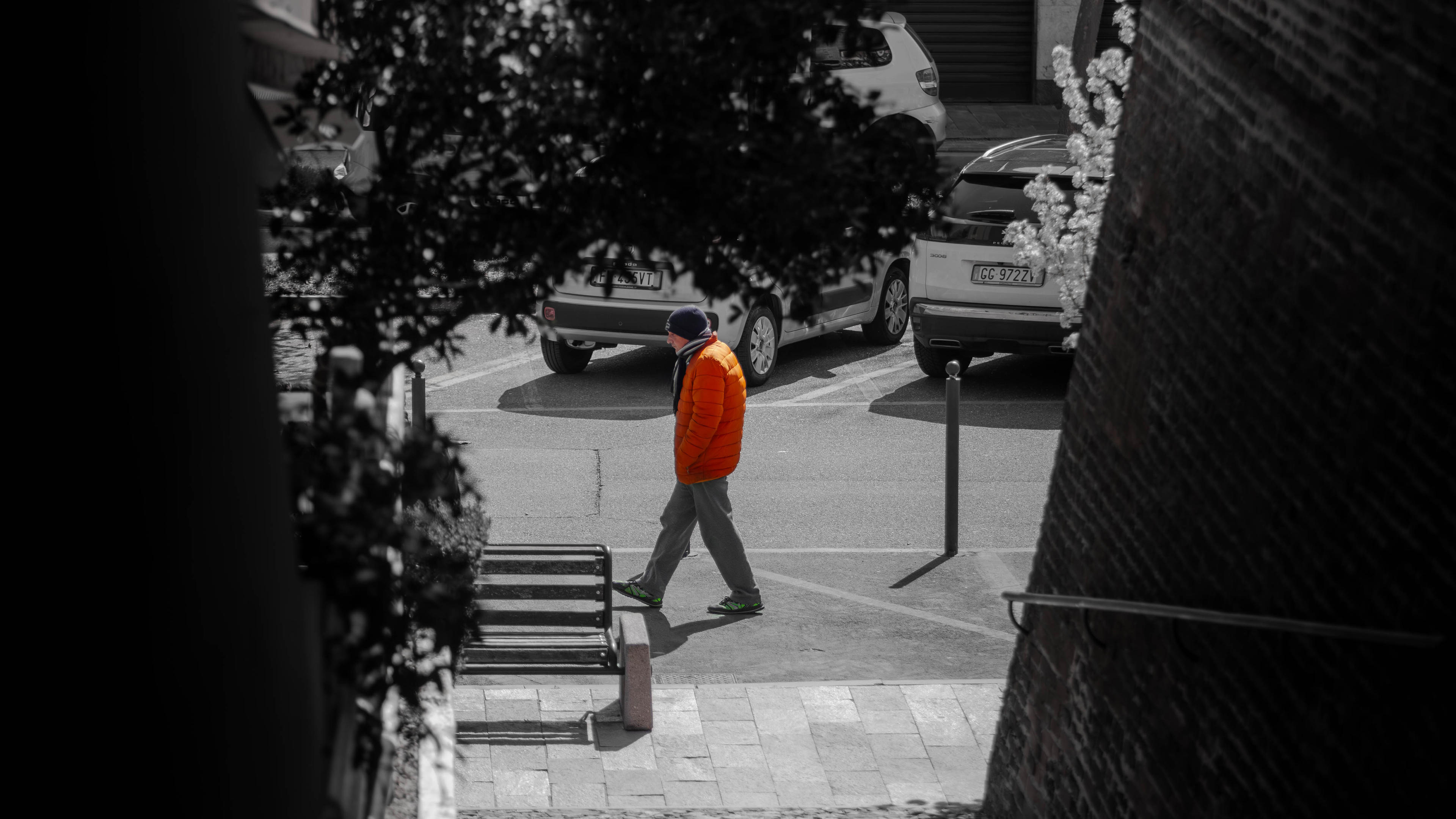 2f72b71d-1148-4ff6-8e6e-e59de7b9a840.jpeg