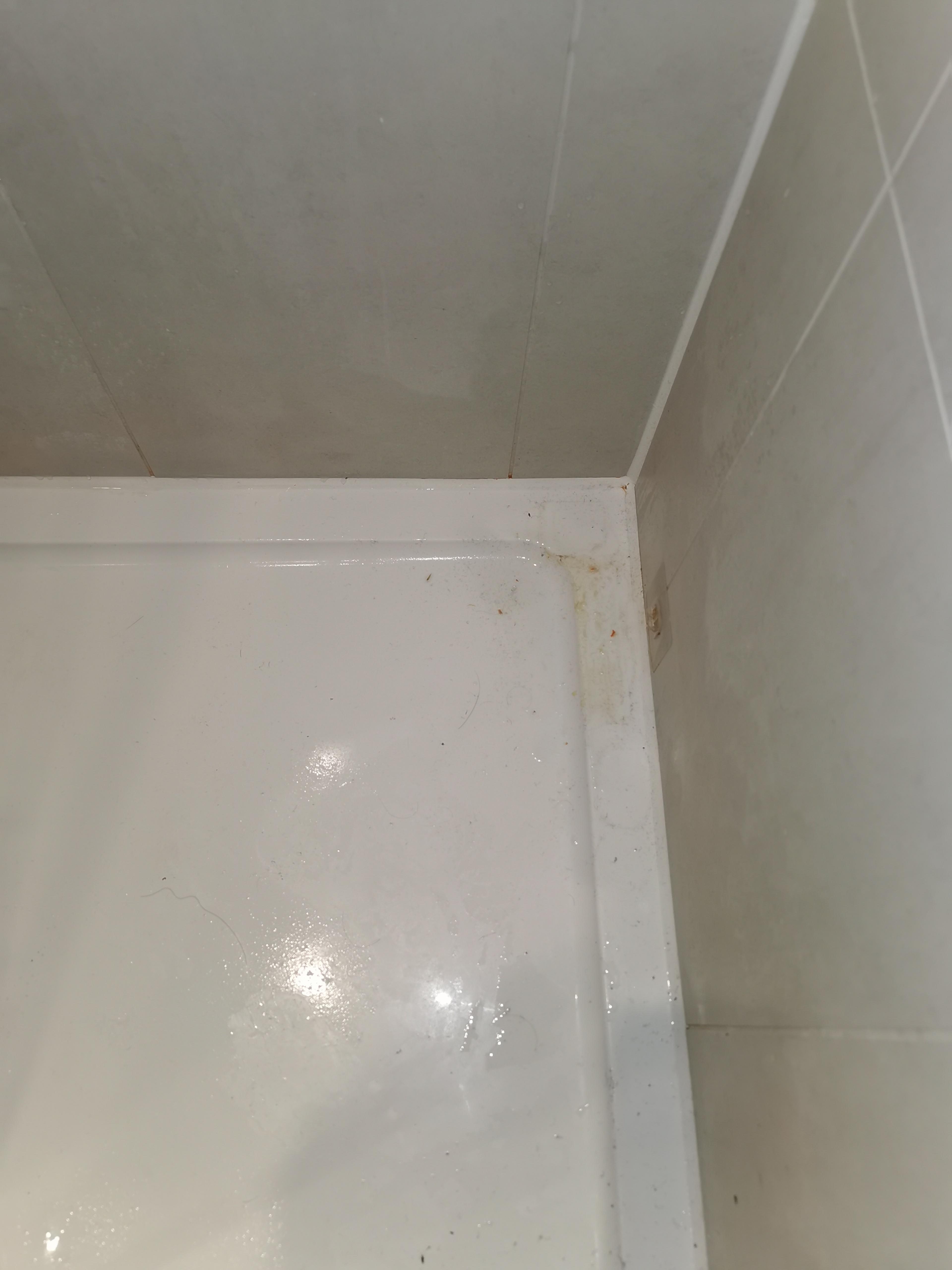 2f8c547a-9489-4639-842a-f81cbee6593a.jpeg
