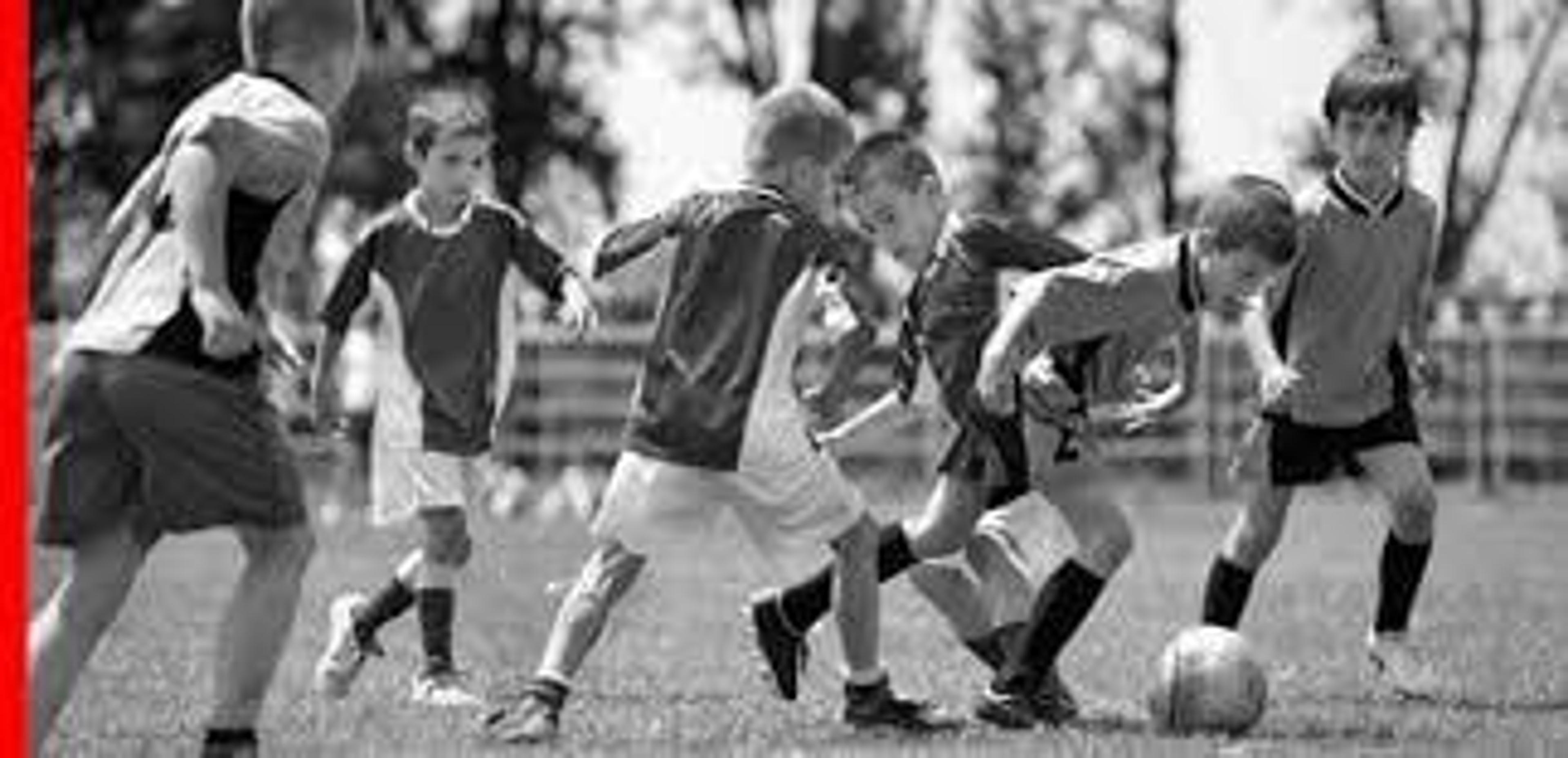 2fb50771-9fe8-4a39-97a2-b025543c7c42.jpeg