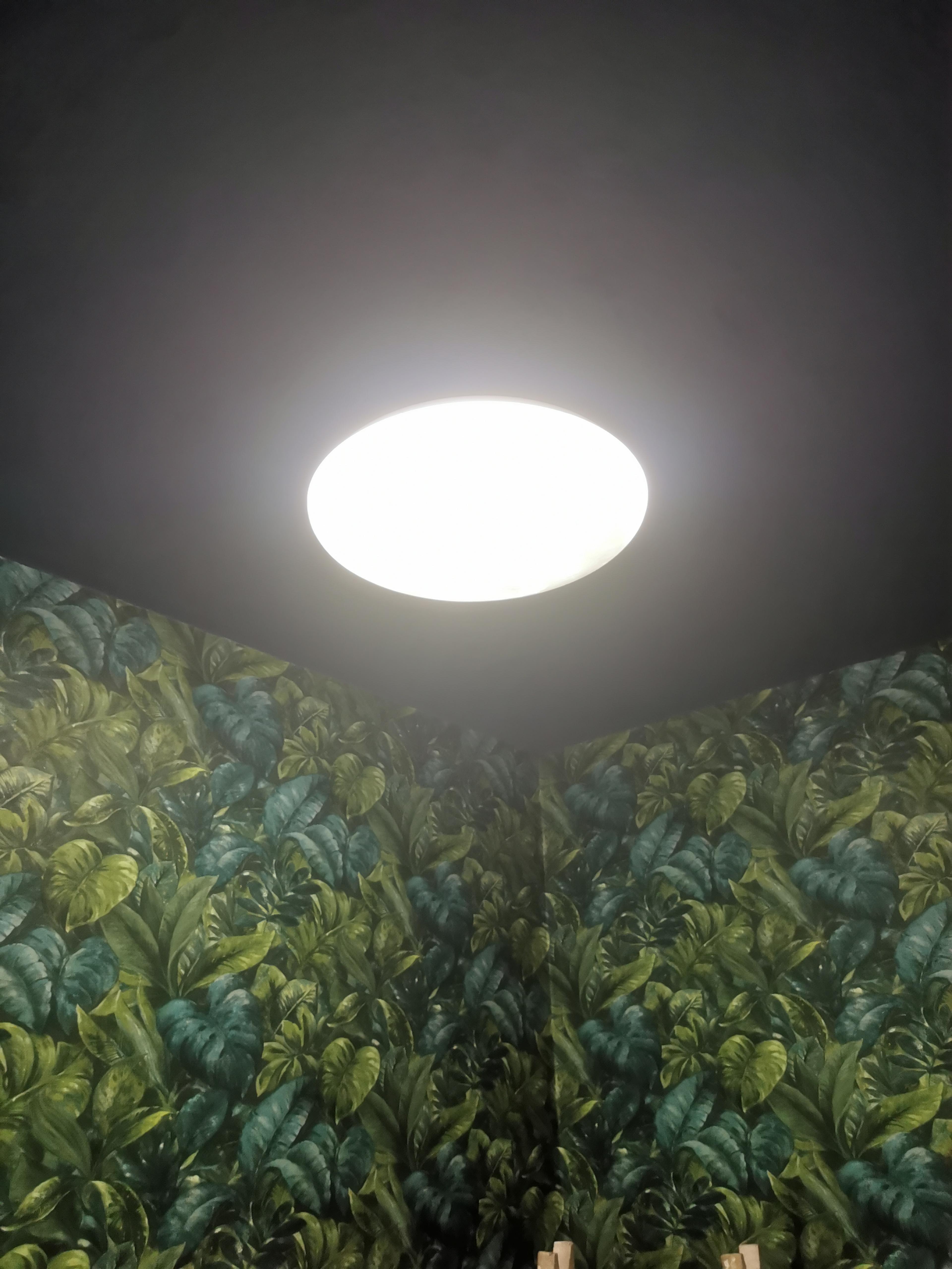2fe6e47d-726e-453e-ab22-5208bf84ee45.jpeg