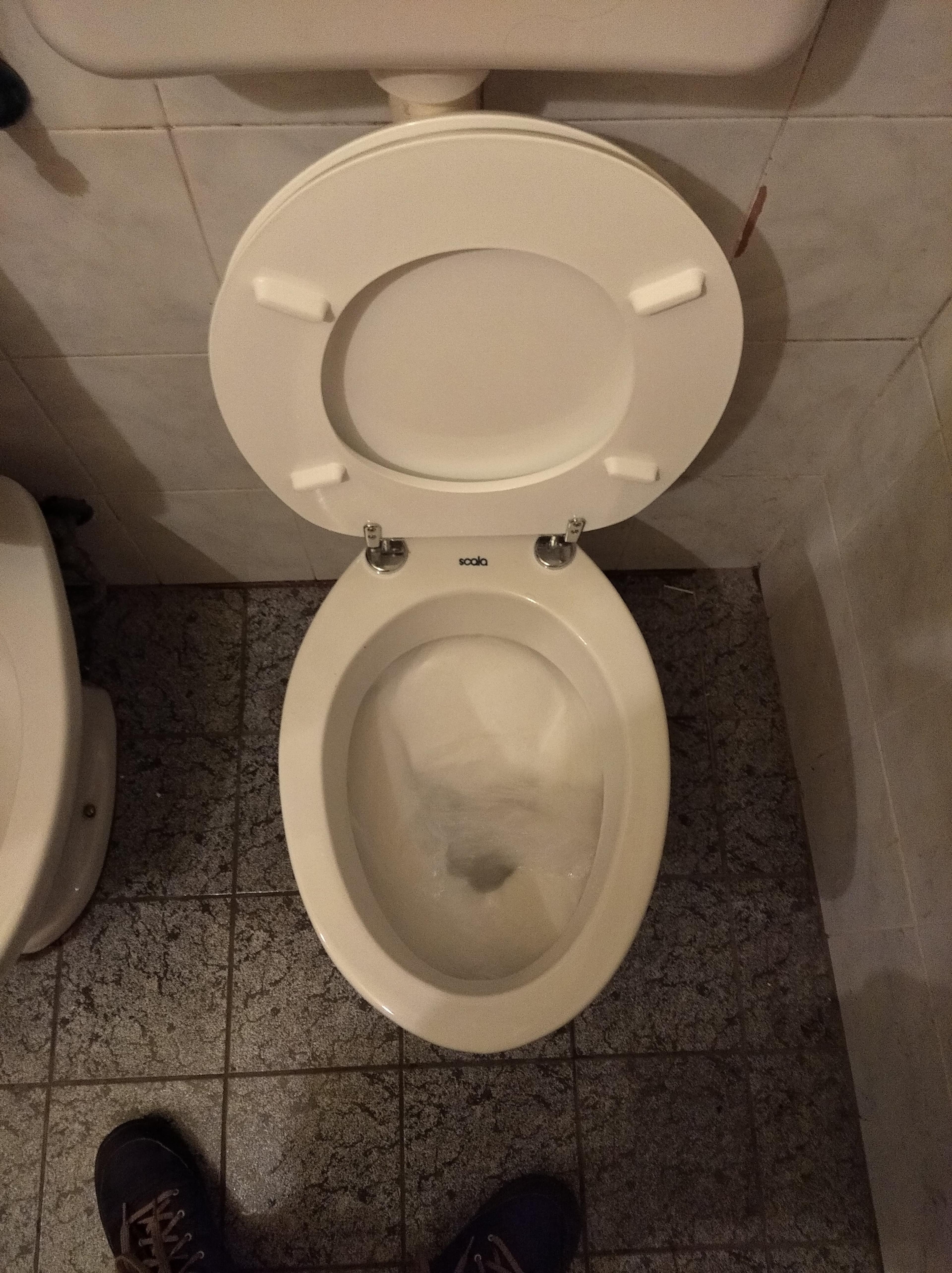 30e7e5d2-6cea-4555-929f-cdfd8034793b.jpeg