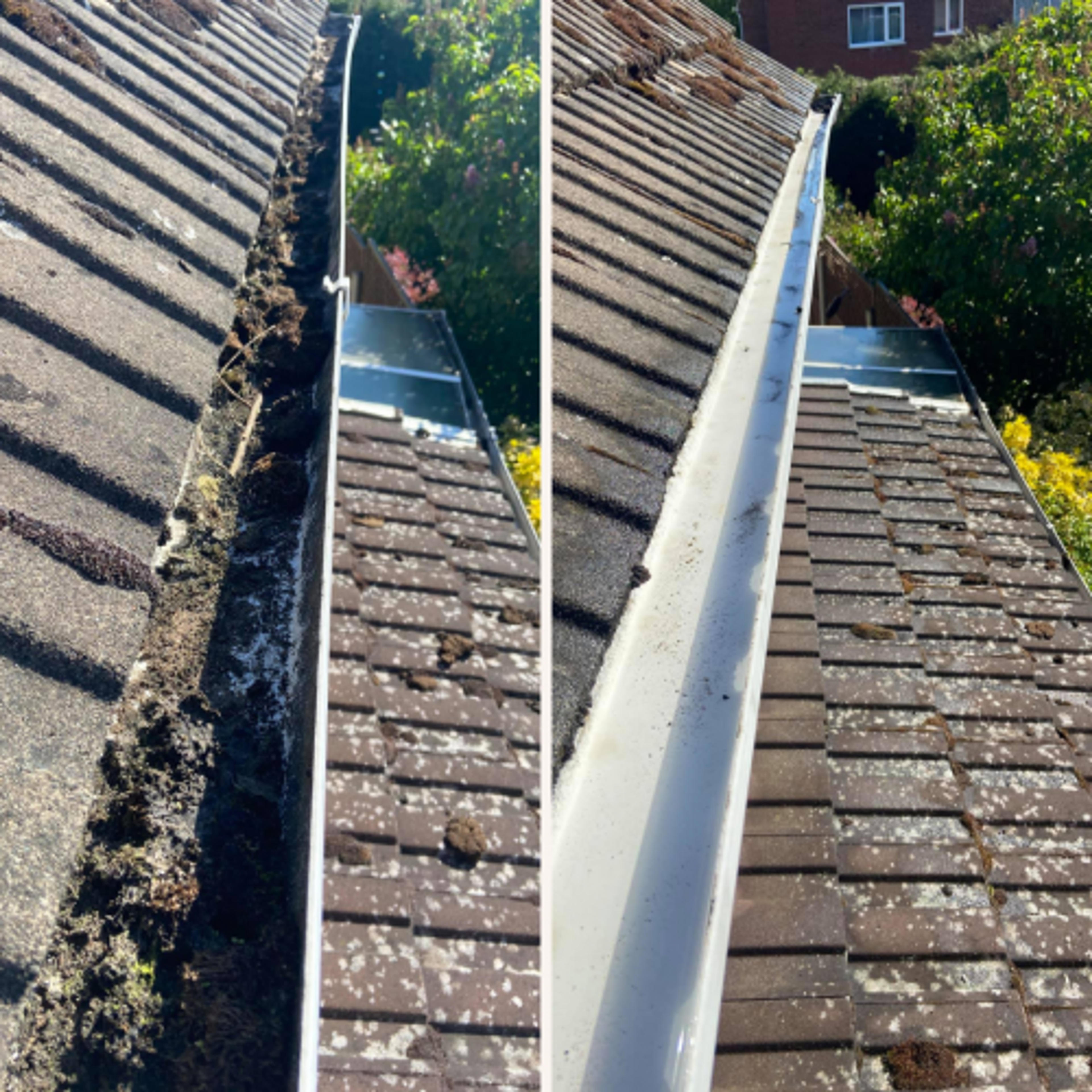 317cbe03-6c35-4dbd-b55b-8d04e02a613c.png
