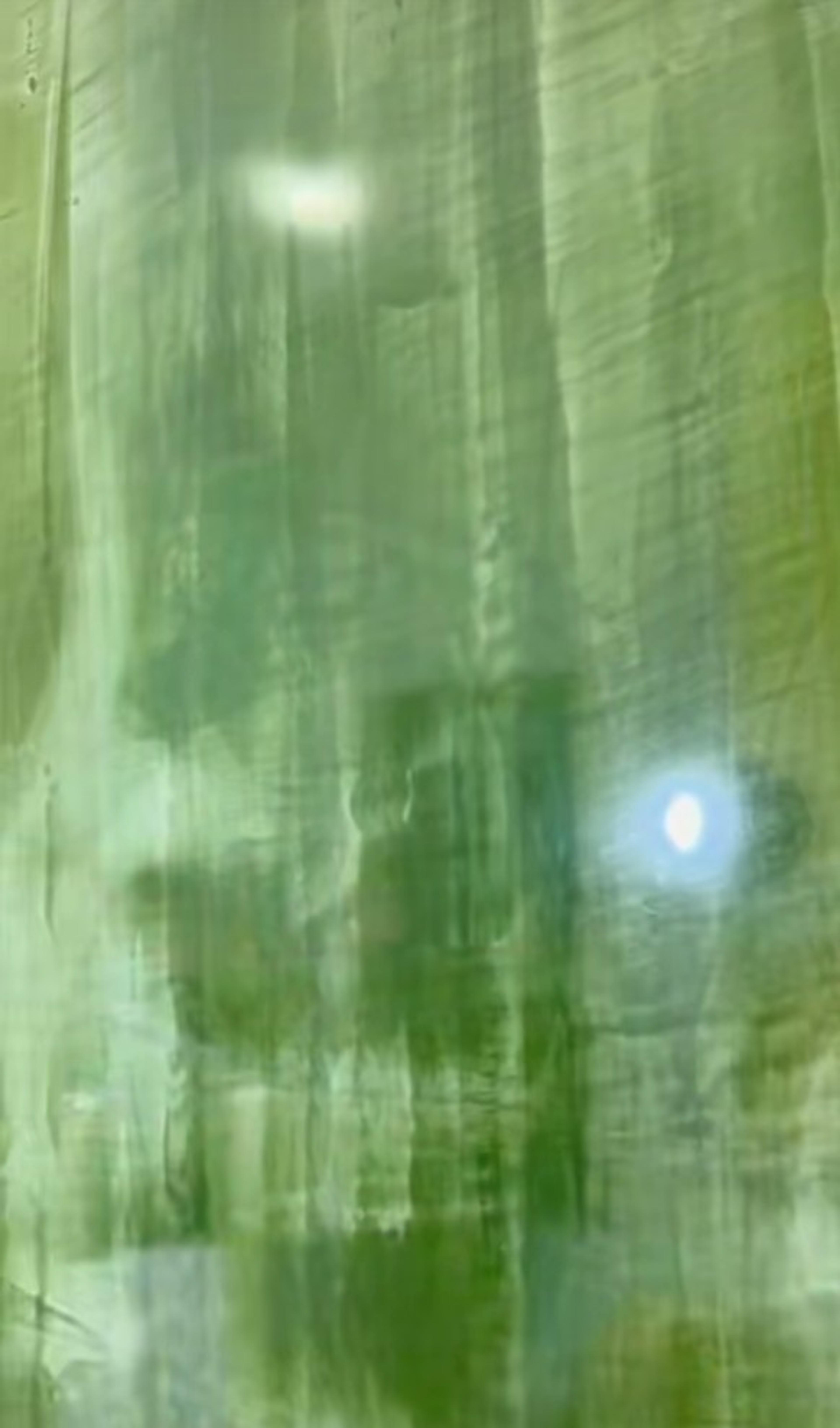3200c2d5-3b4b-43d4-be6a-dd6d5c0c3217.jpeg