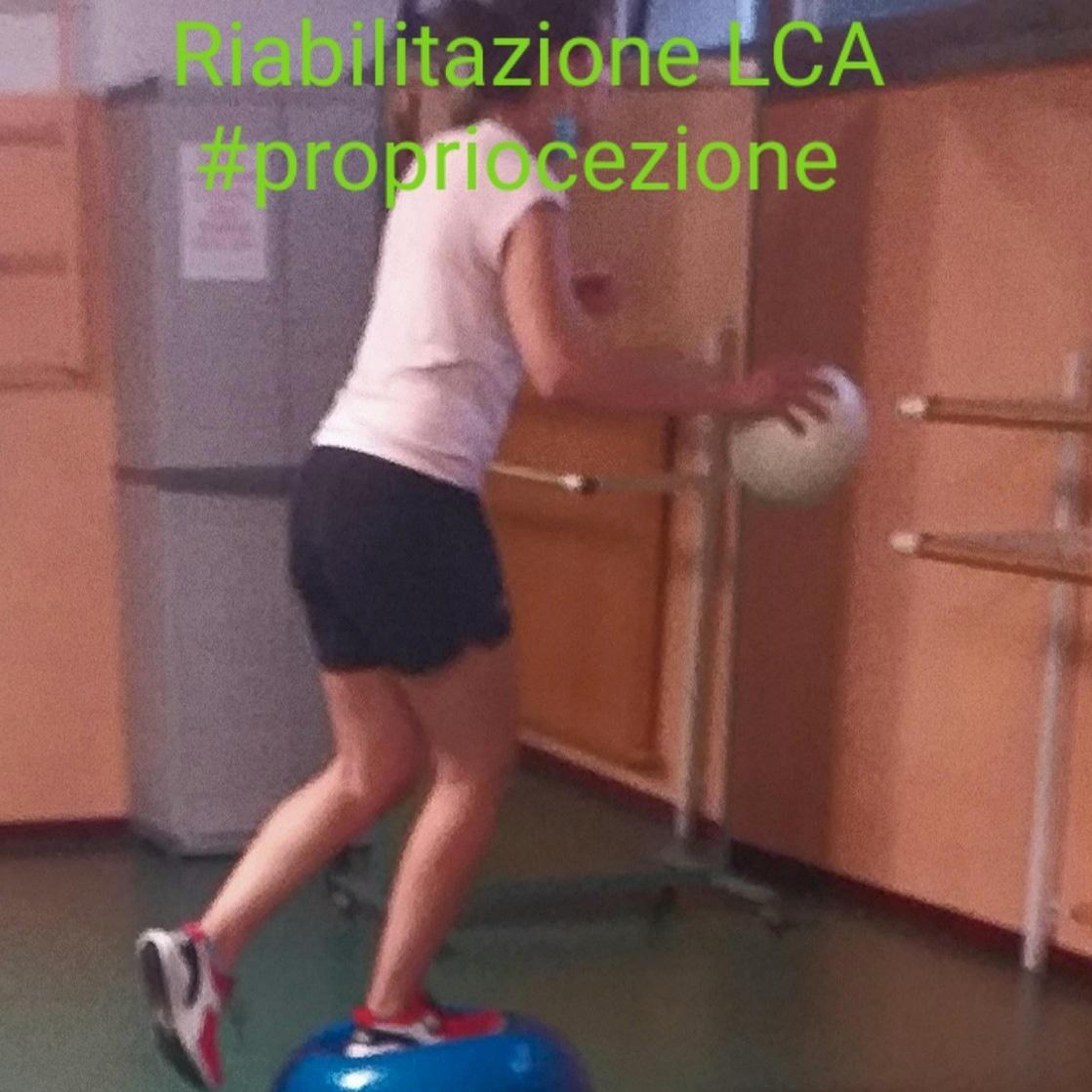 327b3371-2d7d-4d31-880b-2066f6e0fe94.jpeg