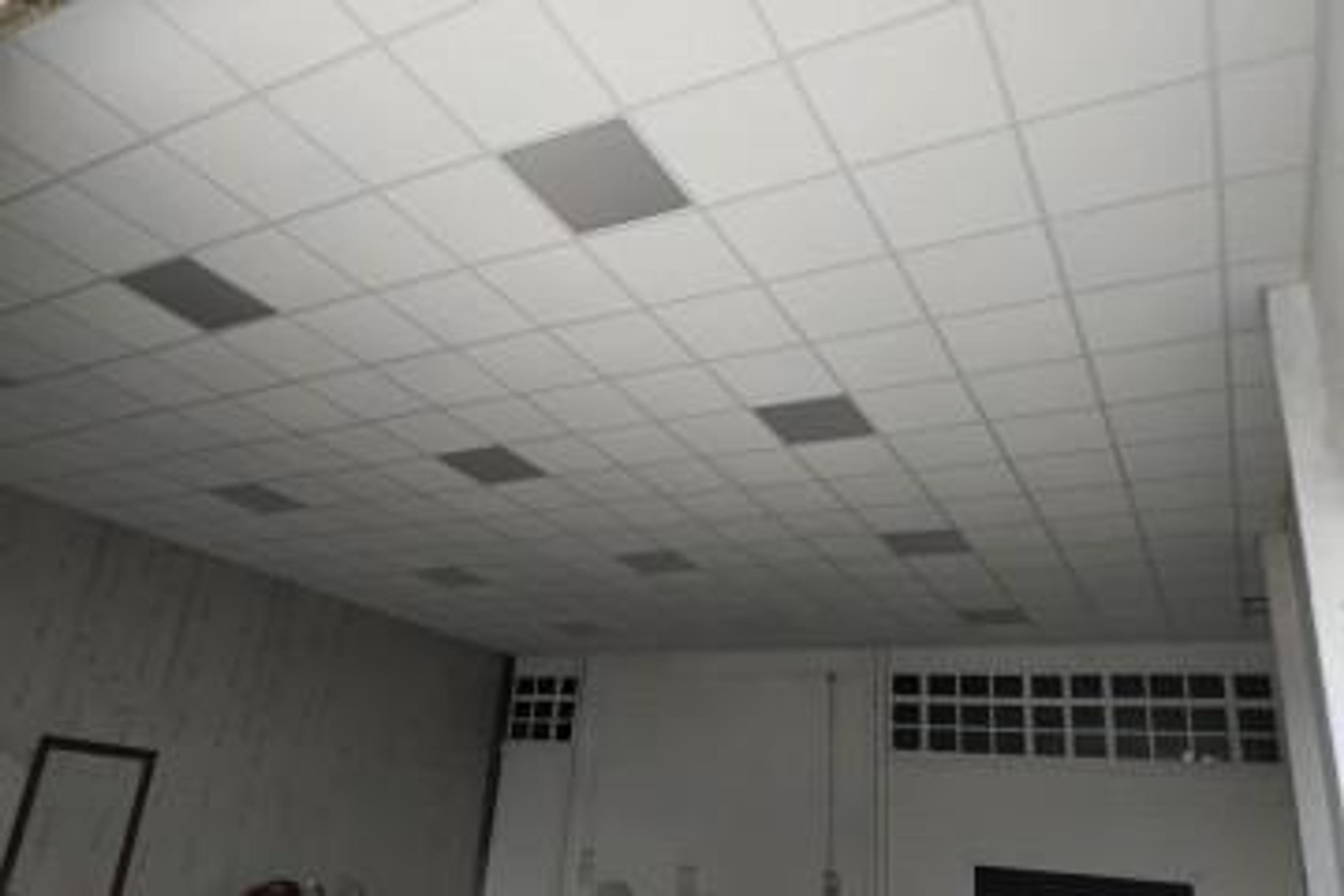 32b4364d-897d-4593-9e19-755cca2a5e2f.jpeg
