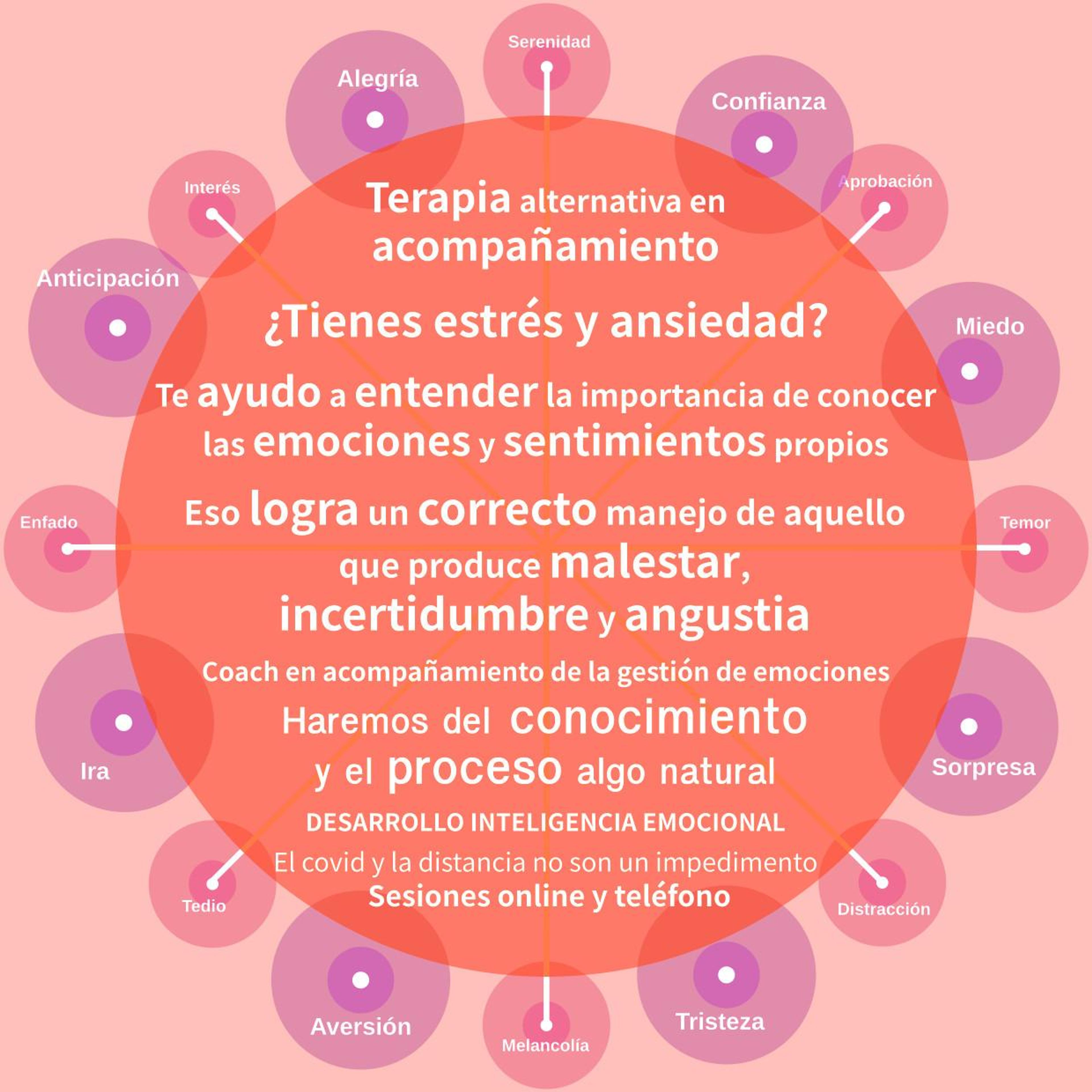 339d6de7-279b-498a-90f0-8a191ad58ee6.jpeg