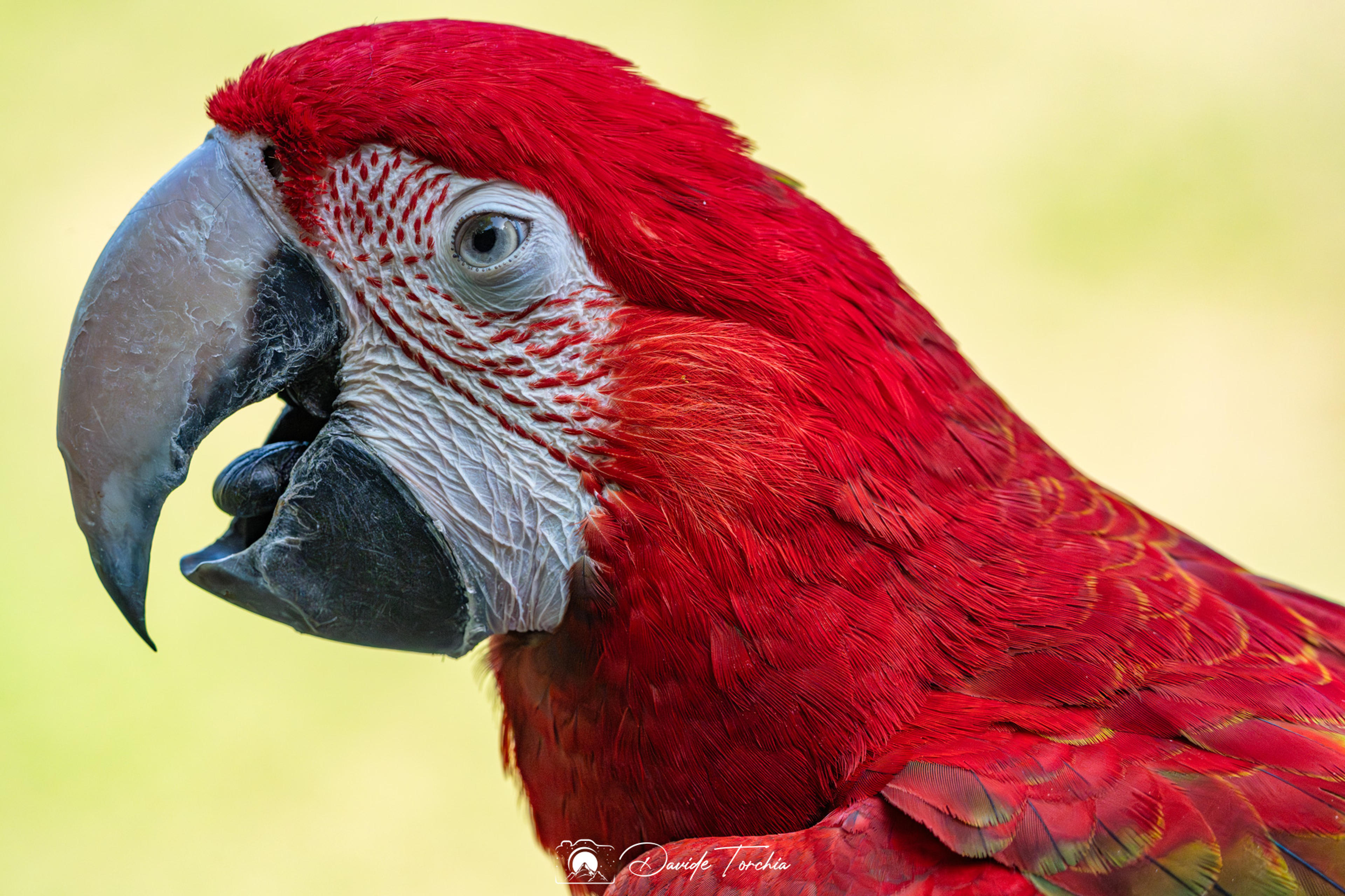 3406946e-e494-4878-a1ad-700a639852f5.jpeg