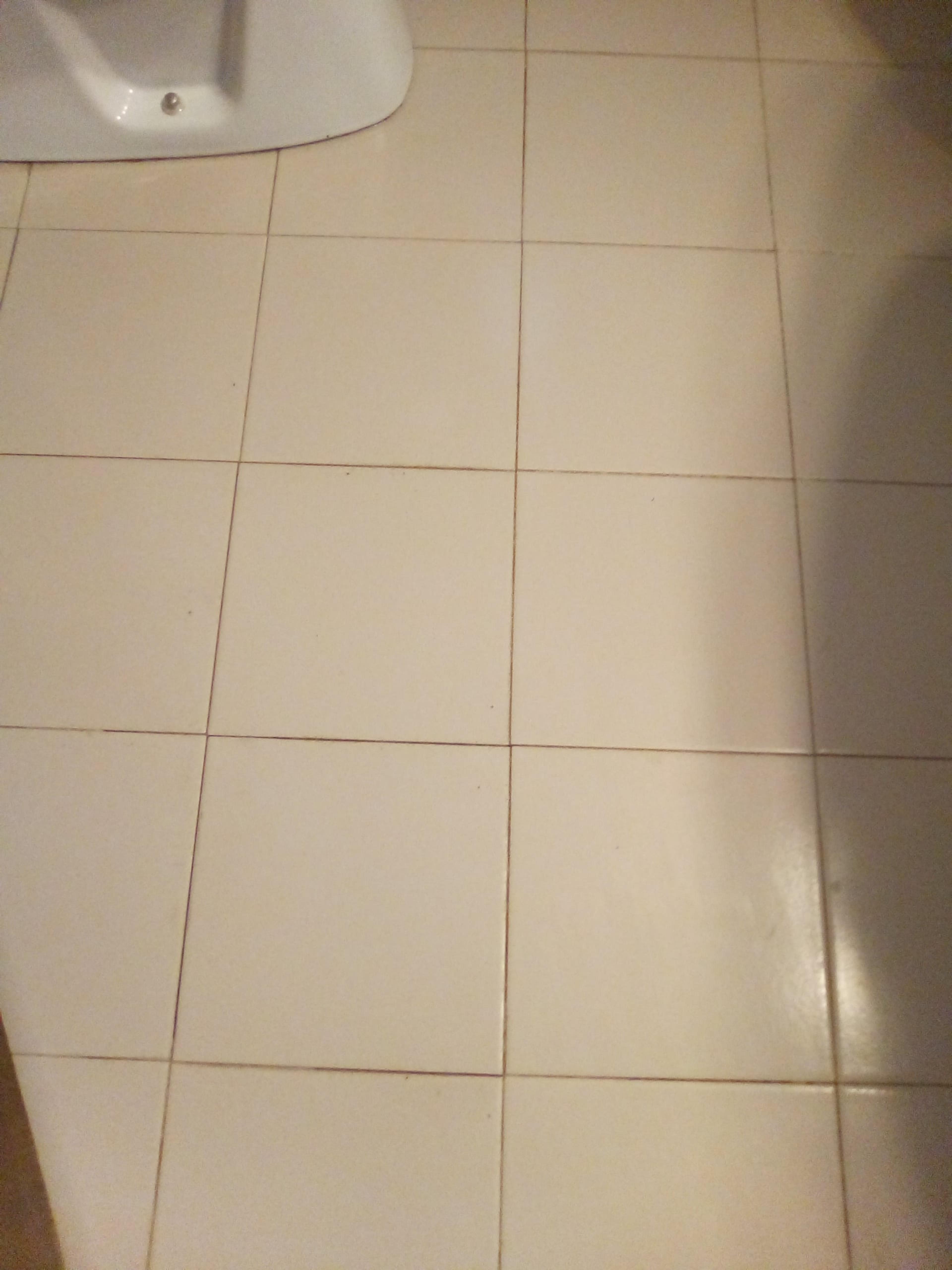 347c513d-9652-4d30-b434-041b04489245.jpeg