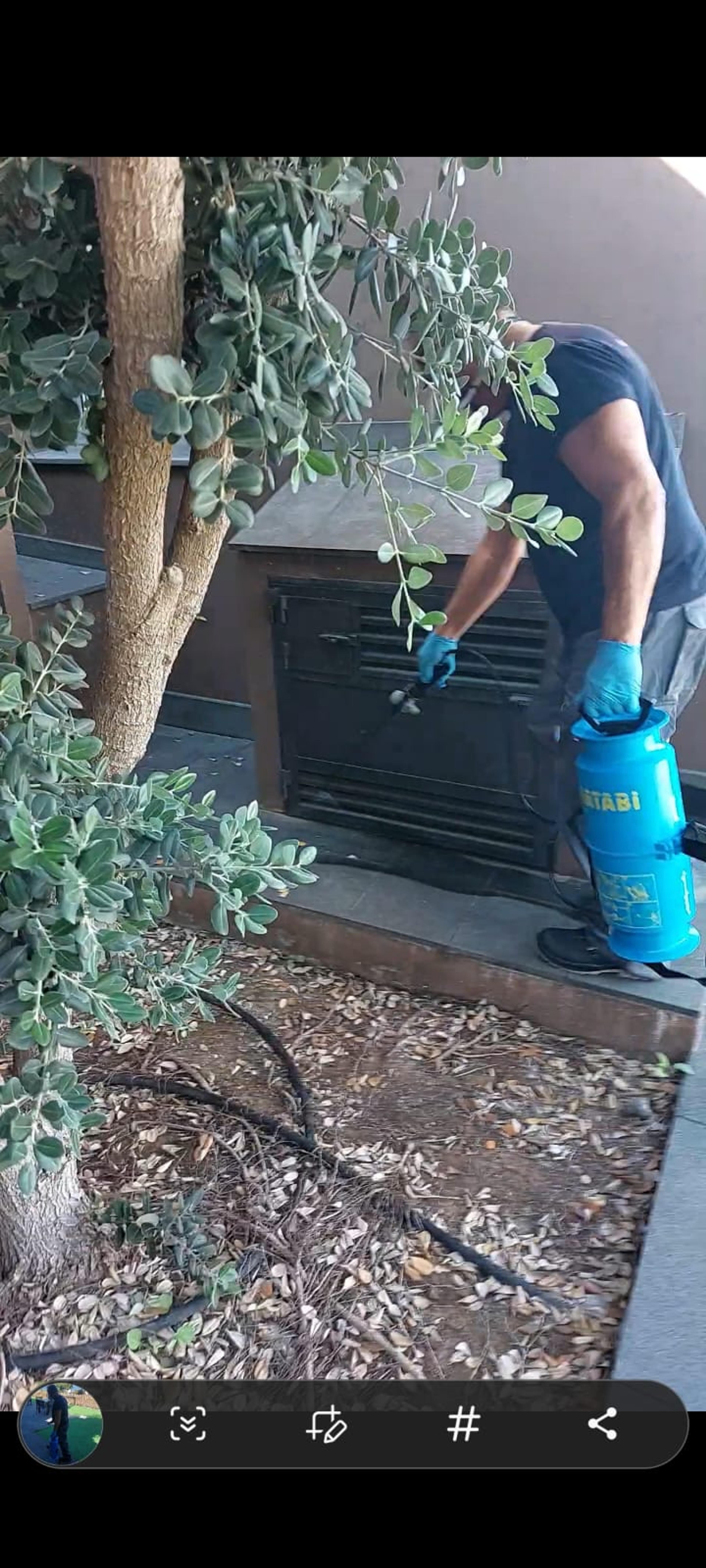 34bf41e7-d10f-4d5a-af65-3fc8f358d4ee.jpeg