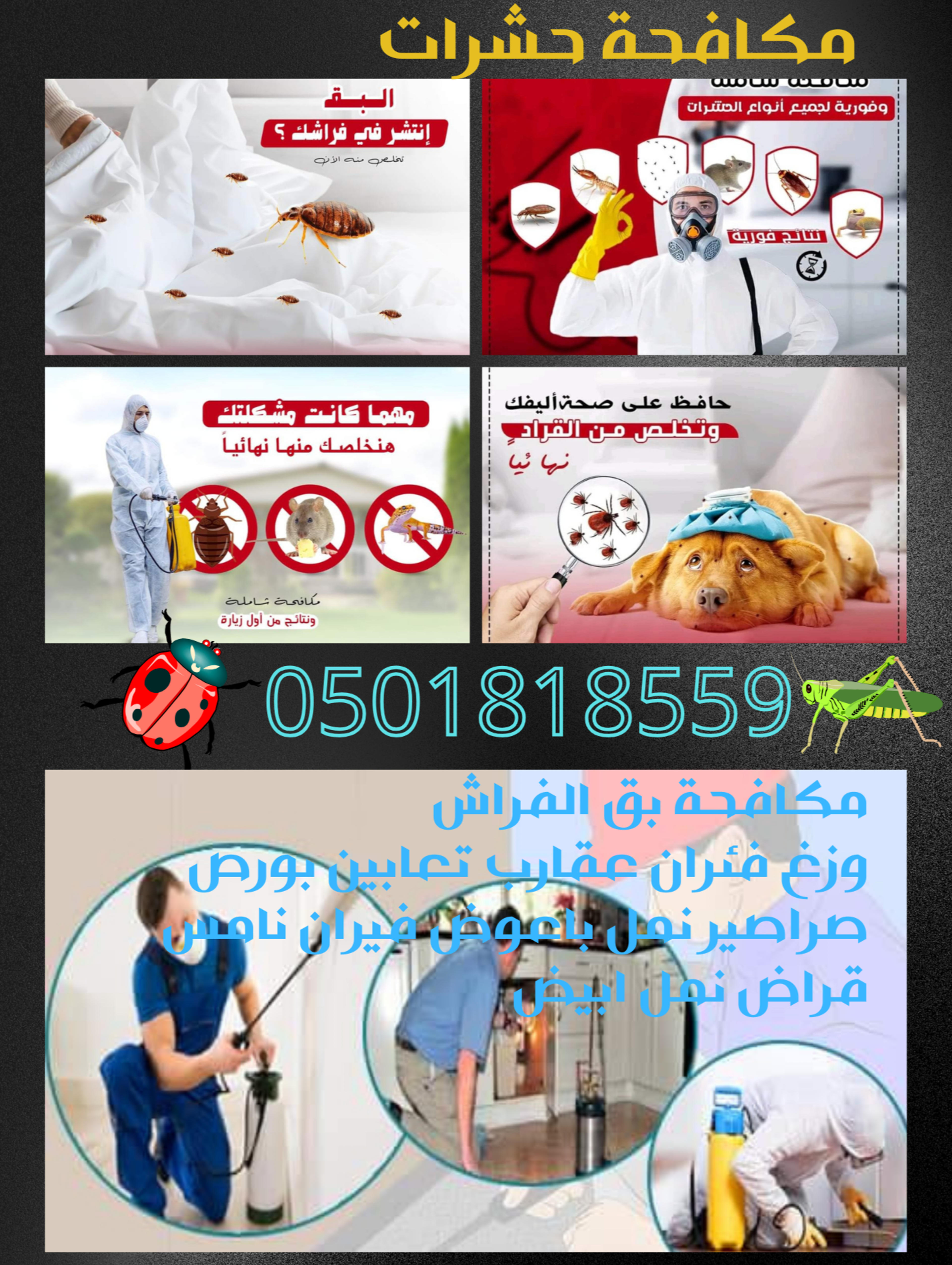 34e9ab95-cc0d-4d9d-9389-e8fe833df6a2.png